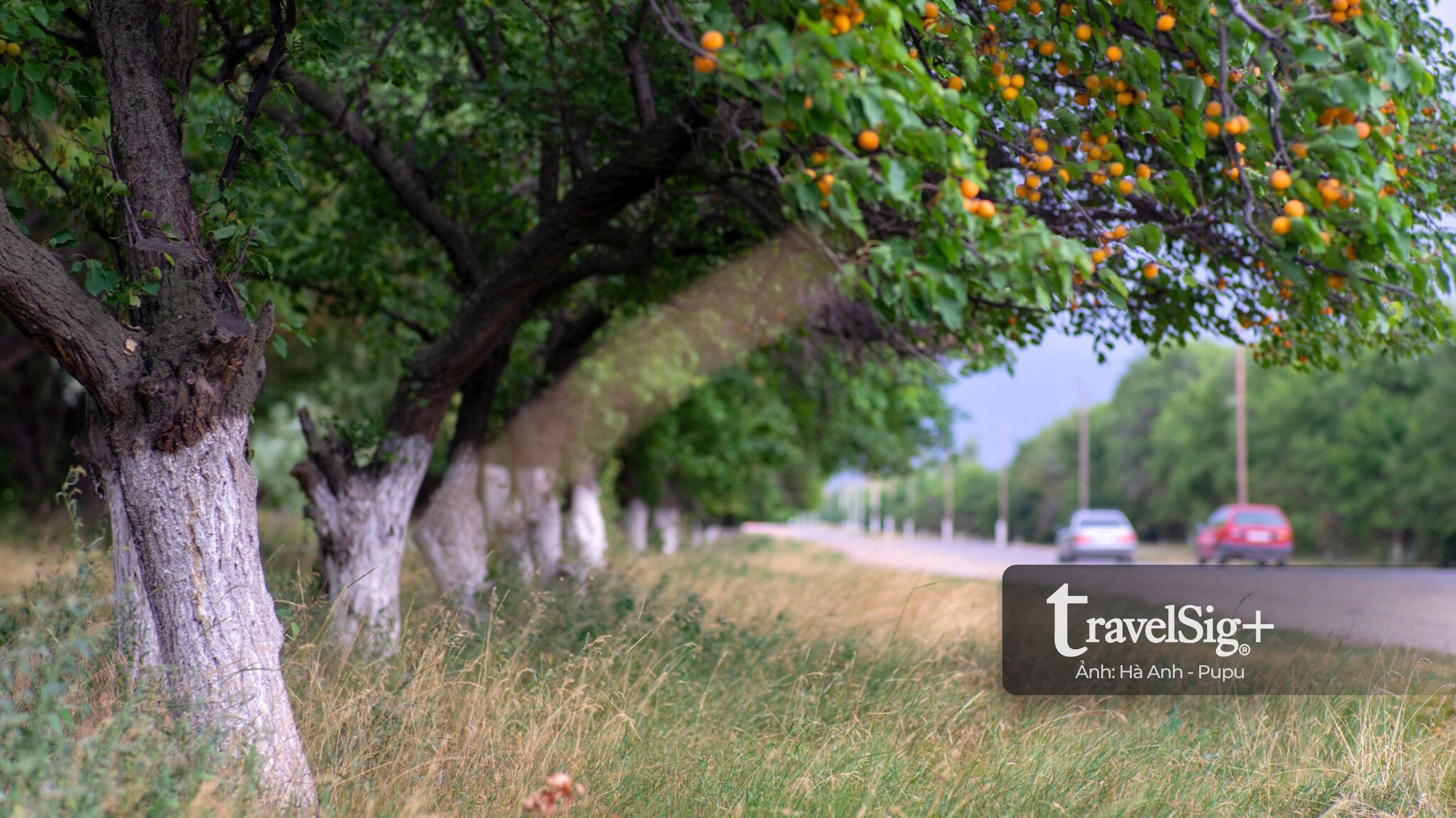 Khám phá Kyrgyzstan, hành trình tự lái xuyên Trung Á