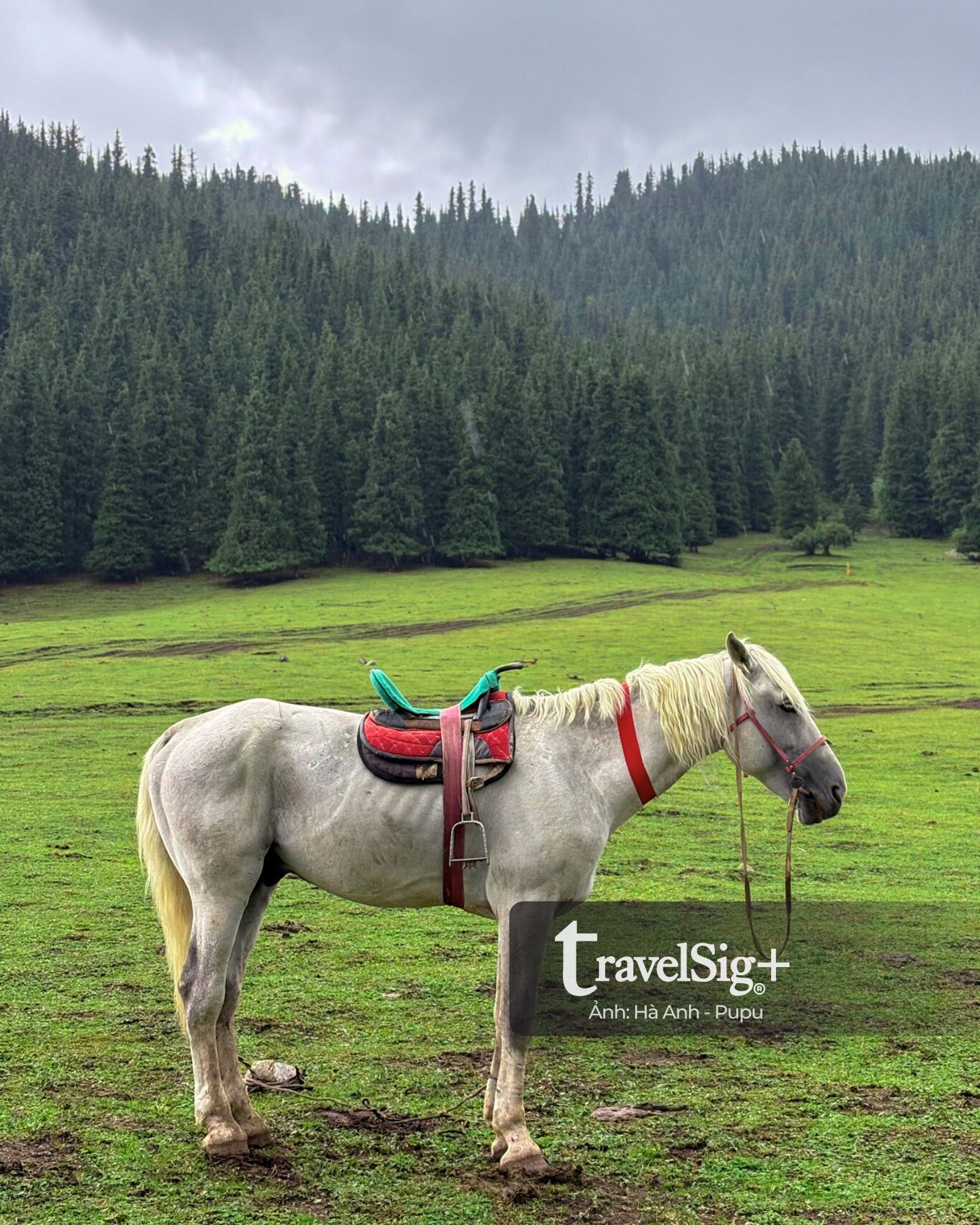 Khám phá Kyrgyzstan, hành trình tự lái xuyên Trung Á