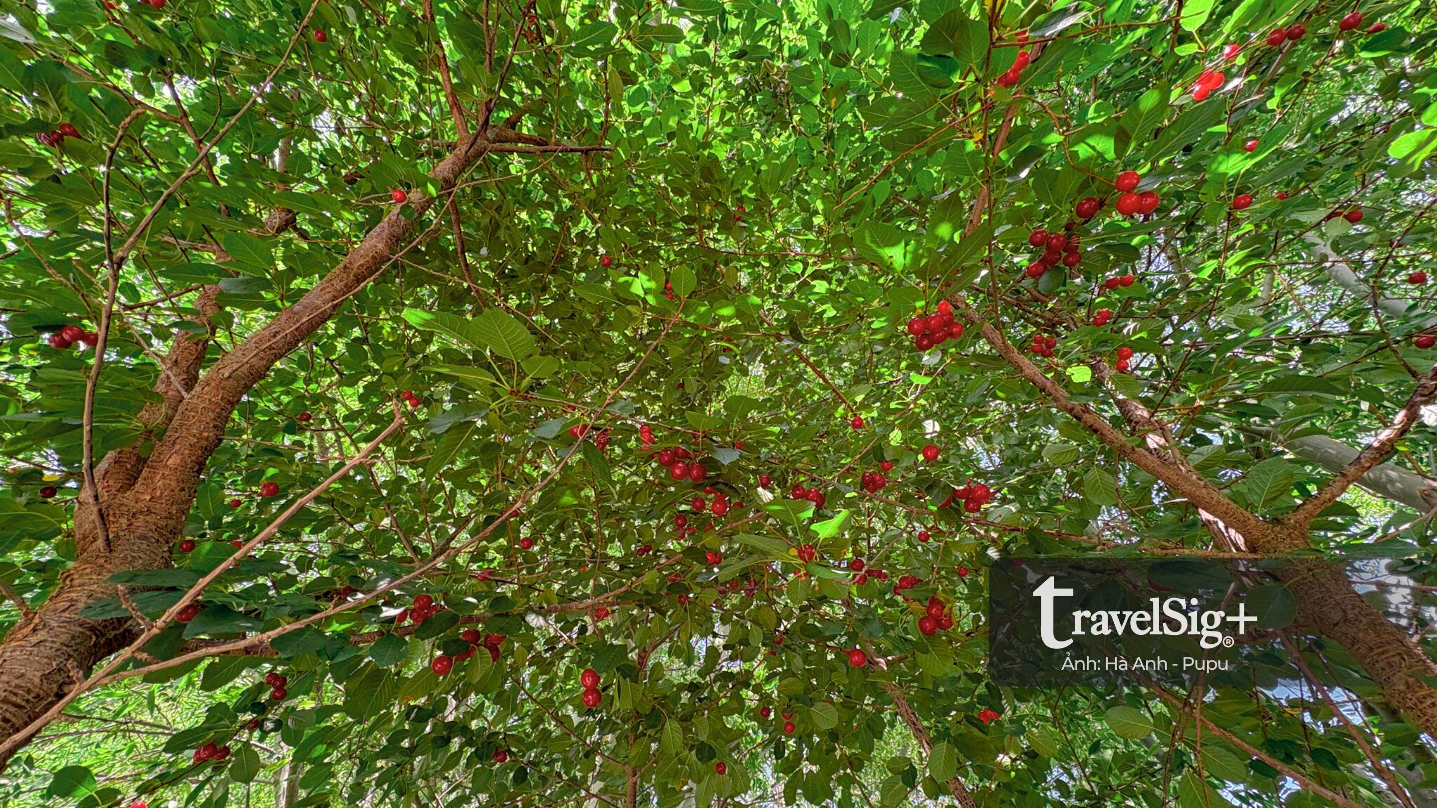 Khám phá Kyrgyzstan, hành trình tự lái xuyên Trung Á