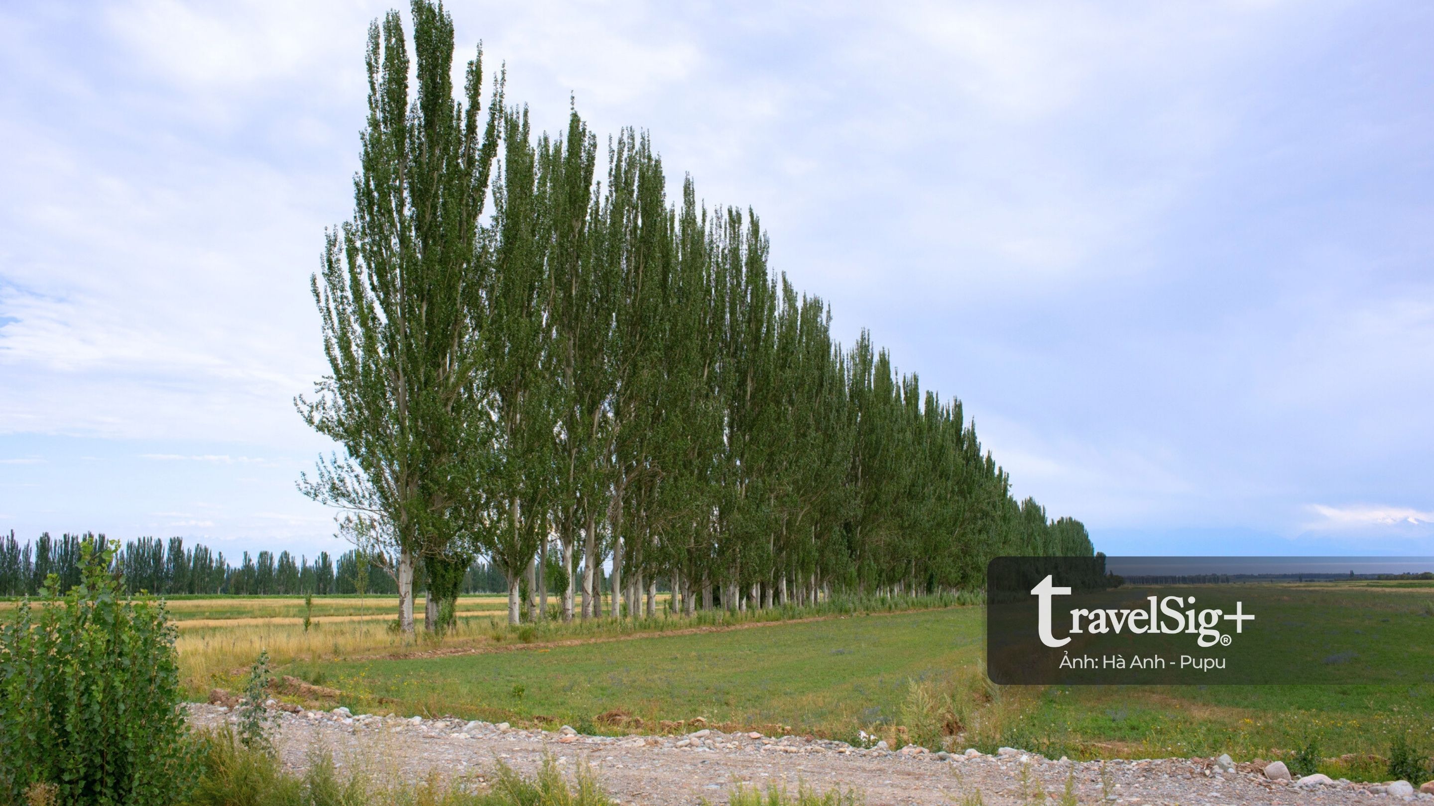 Khám phá Kyrgyzstan, hành trình tự lái xuyên Trung Á