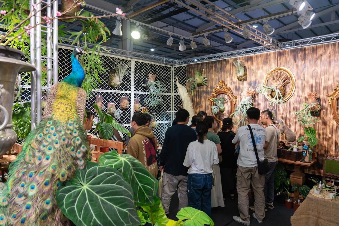 Khám phá xu hướng "deep green" tại triển lãm thực vật ở Đài Loan 2024
