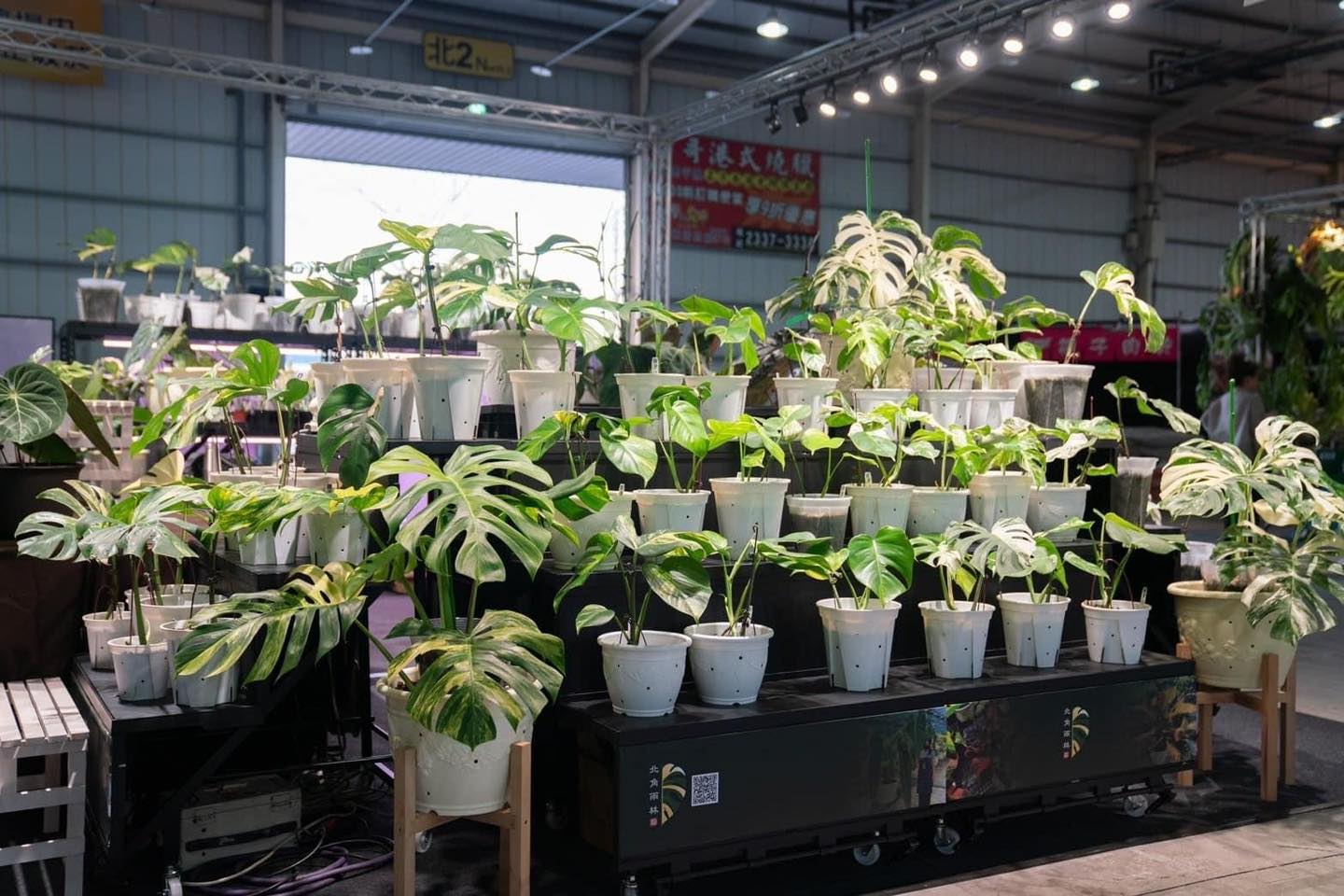 Khám phá xu hướng "deep green" tại triển lãm thực vật ở Đài Loan 2024