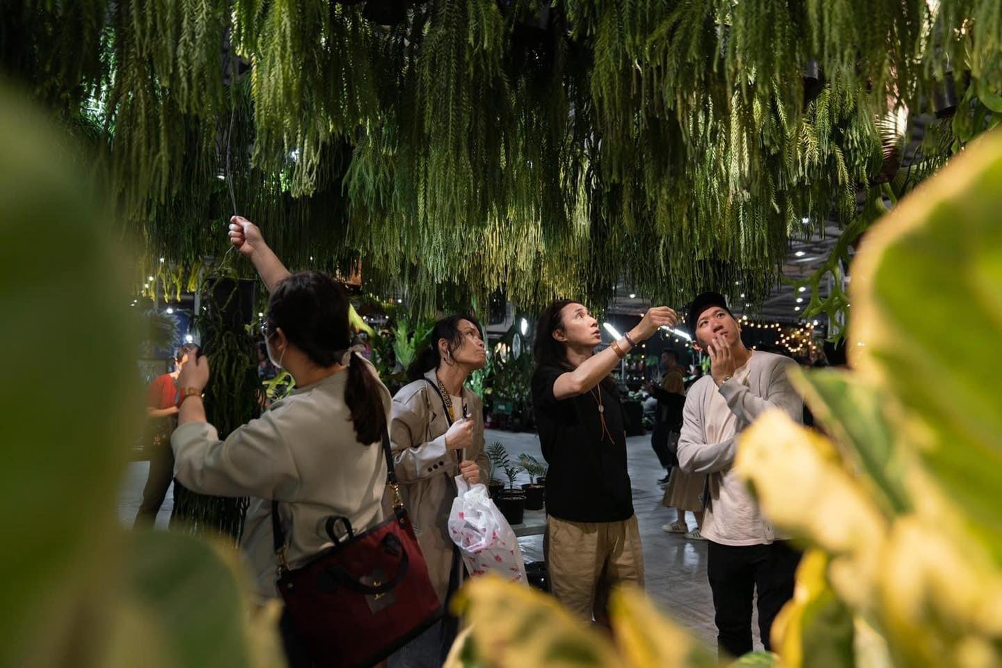 Khám phá xu hướng "deep green" tại triển lãm thực vật ở Đài Loan 2024