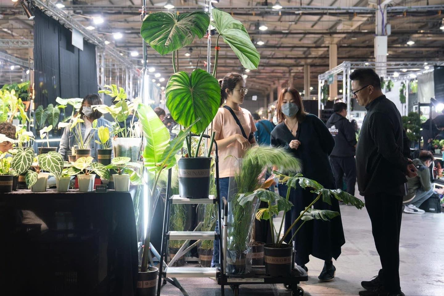 Khám phá xu hướng "deep green" tại triển lãm thực vật ở Đài Loan 2024