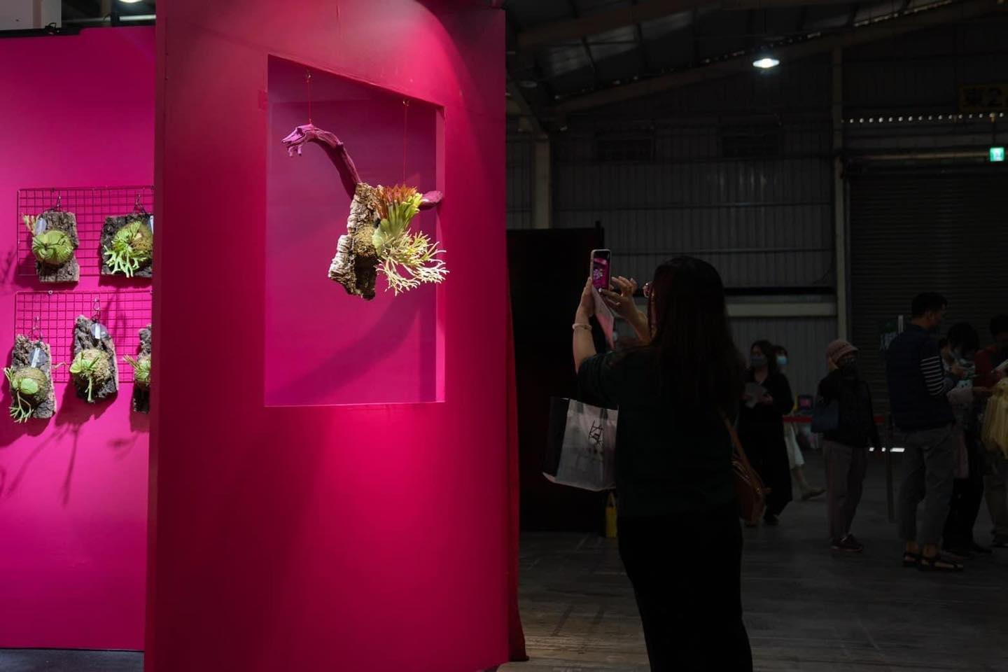 Khám phá xu hướng "deep green" tại triển lãm thực vật ở Đài Loan 2024