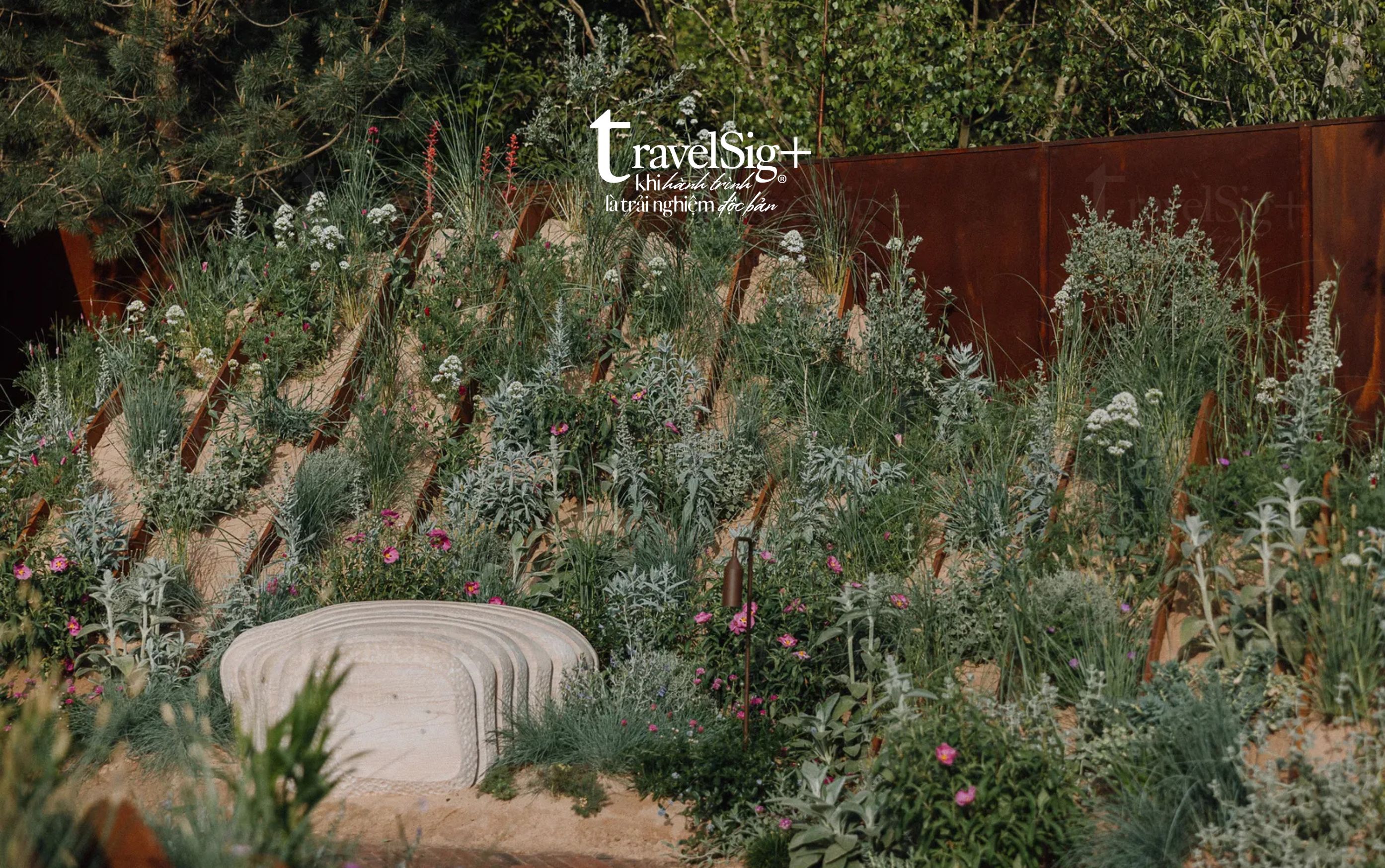 Khi nghệ thuật và thiên nhiên hòa quyện tại Chelsea Flower Show 2025