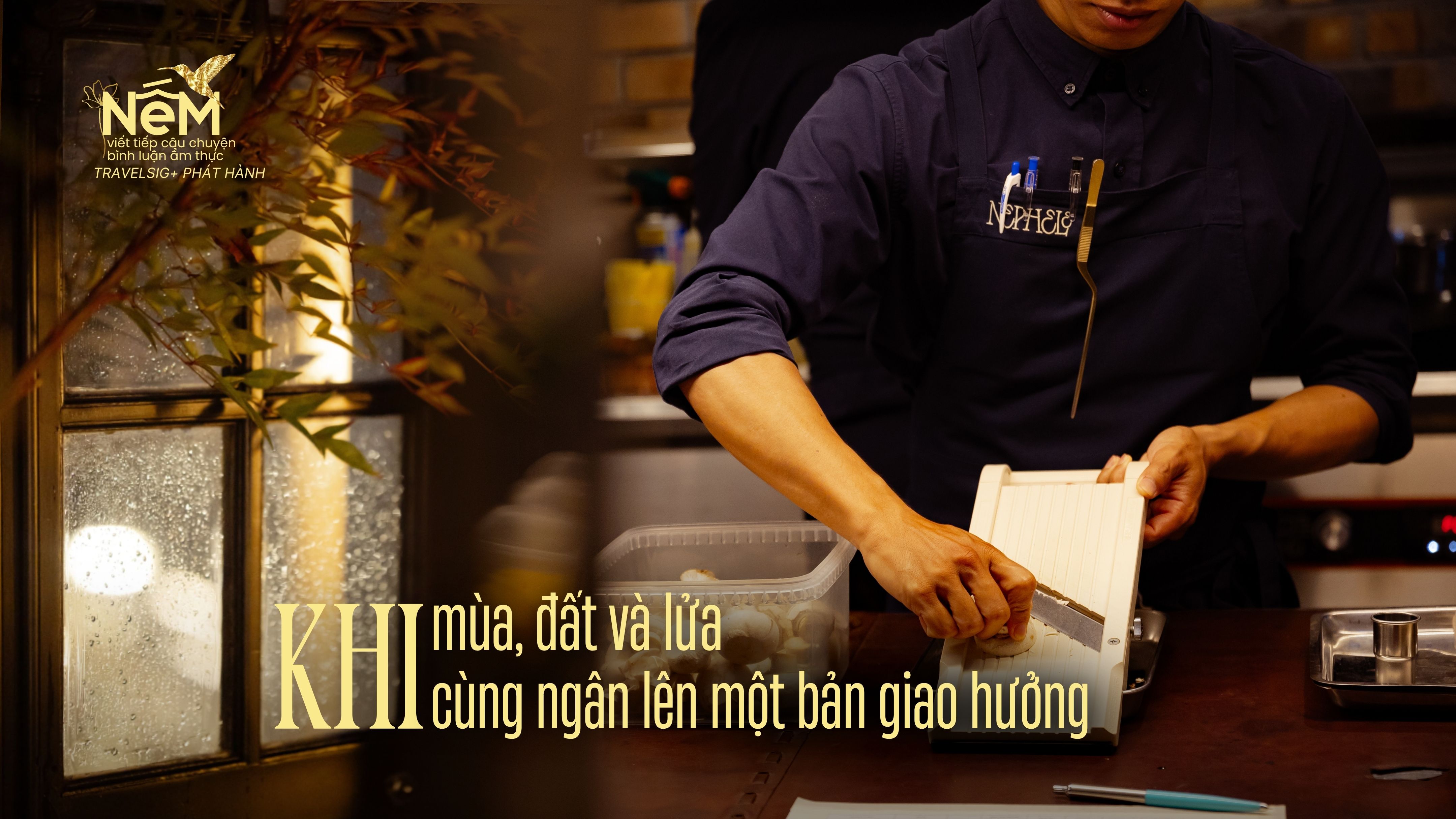 Khi ngọn lửa kể chuyện mùa và giấc mơ mây chạm đất