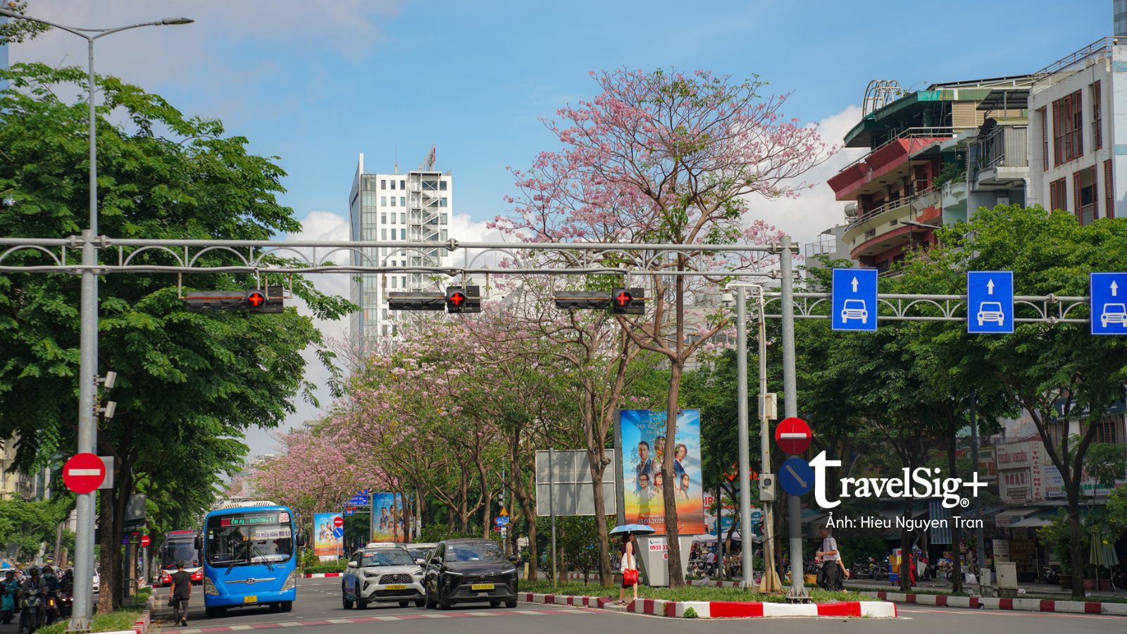 Không hẹn mà gặp lại mùa kèn hồng tháng 5 ở Sài Gòn