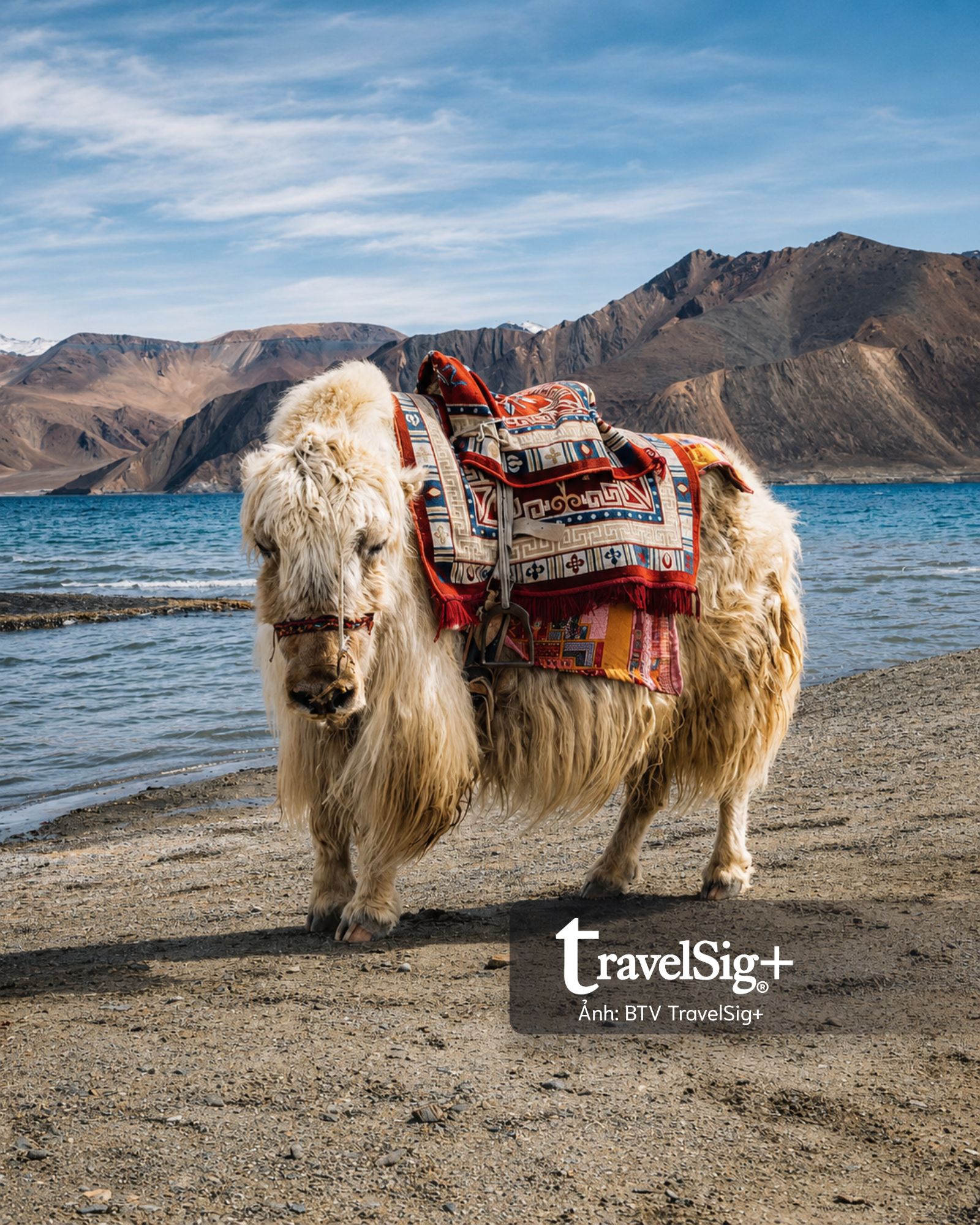 Ladakh - Nơi cái đẹp hiện ra trong im lặng