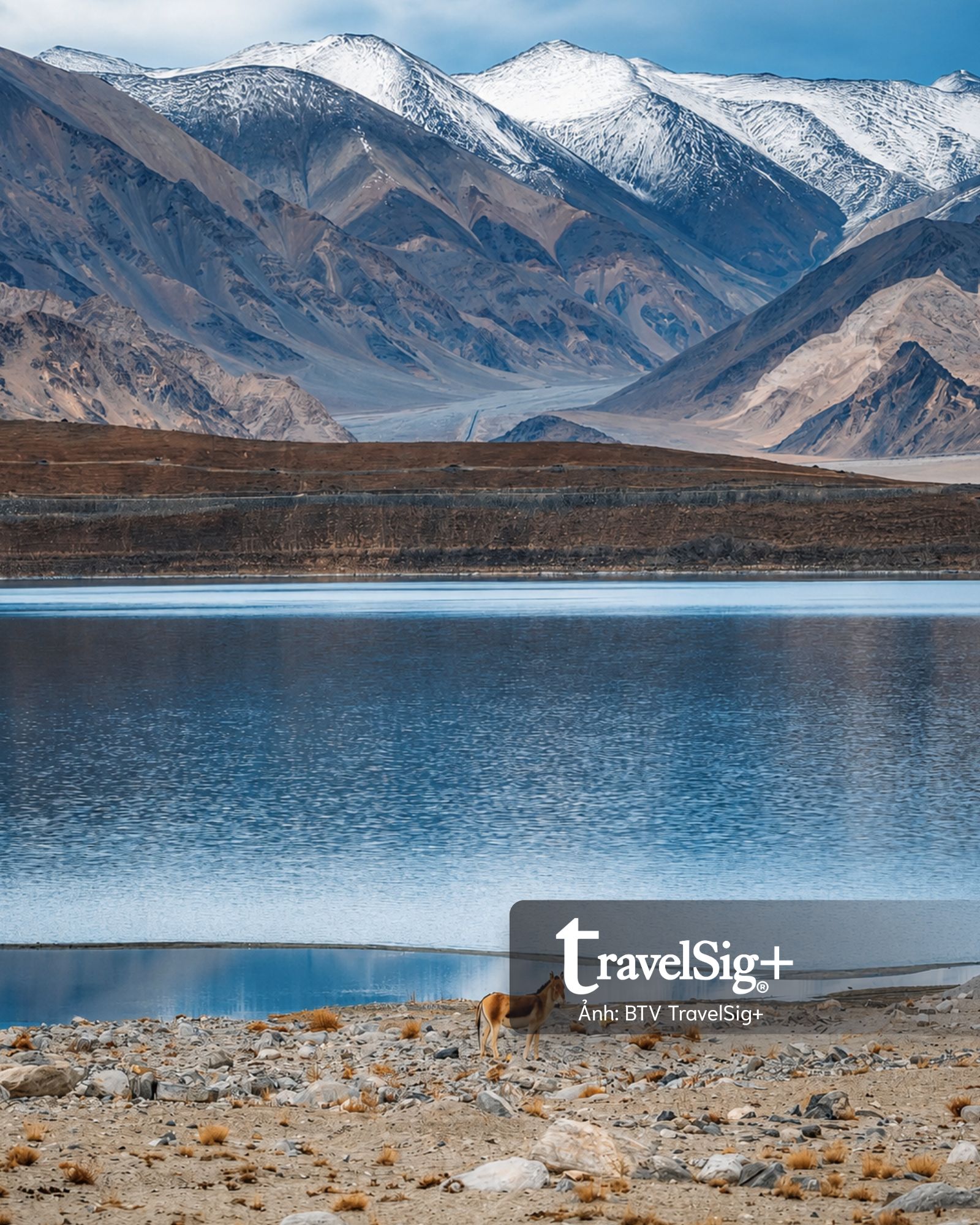Ladakh - Nơi cái đẹp hiện ra trong im lặng