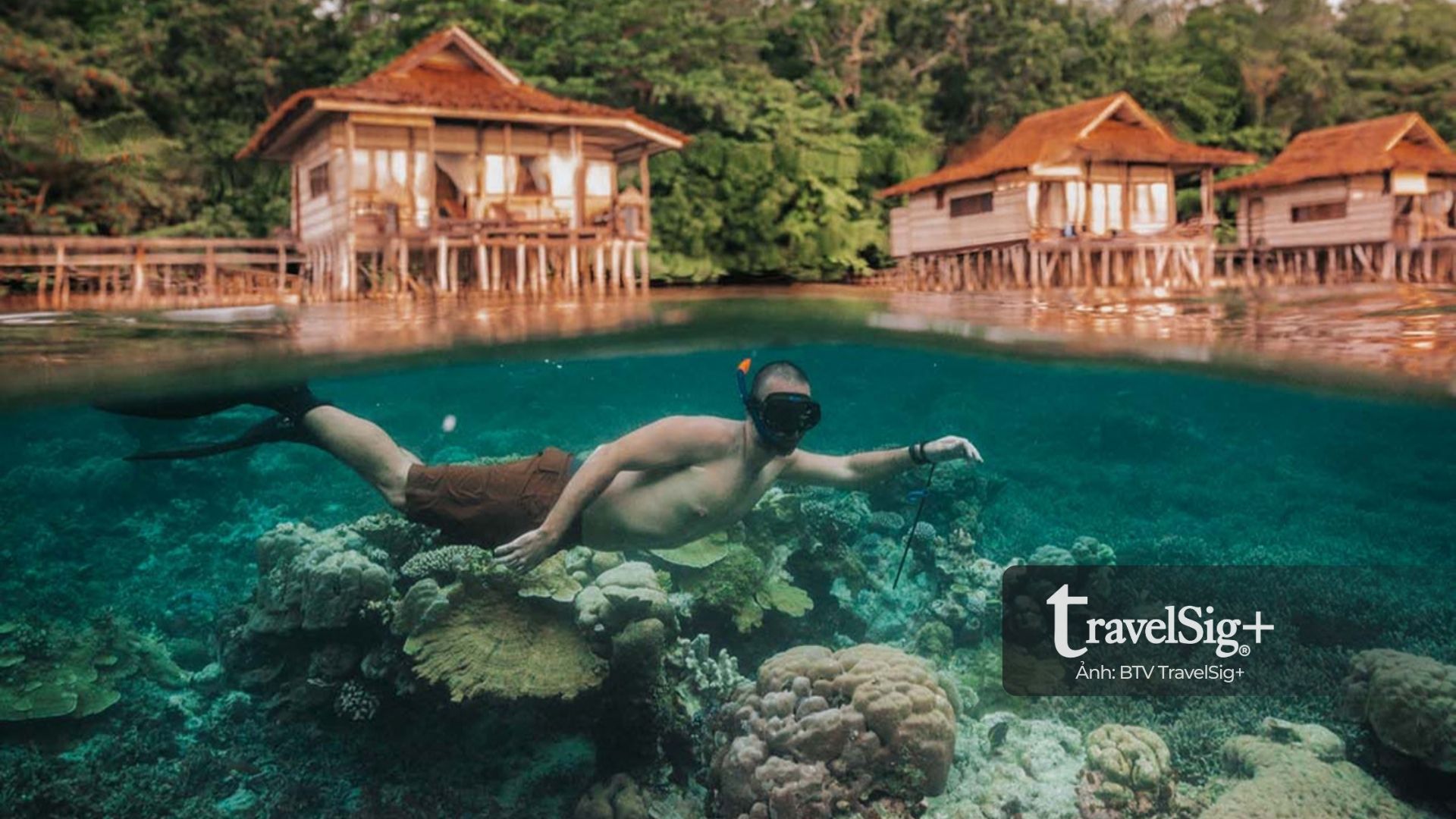 Lặn biển ở Raja Ampat - Thiên đường san hô rực rỡ của Indonesia