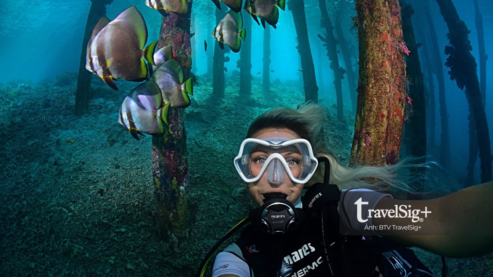 Lặn biển ở Raja Ampat - Thiên đường san hô rực rỡ của Indonesia