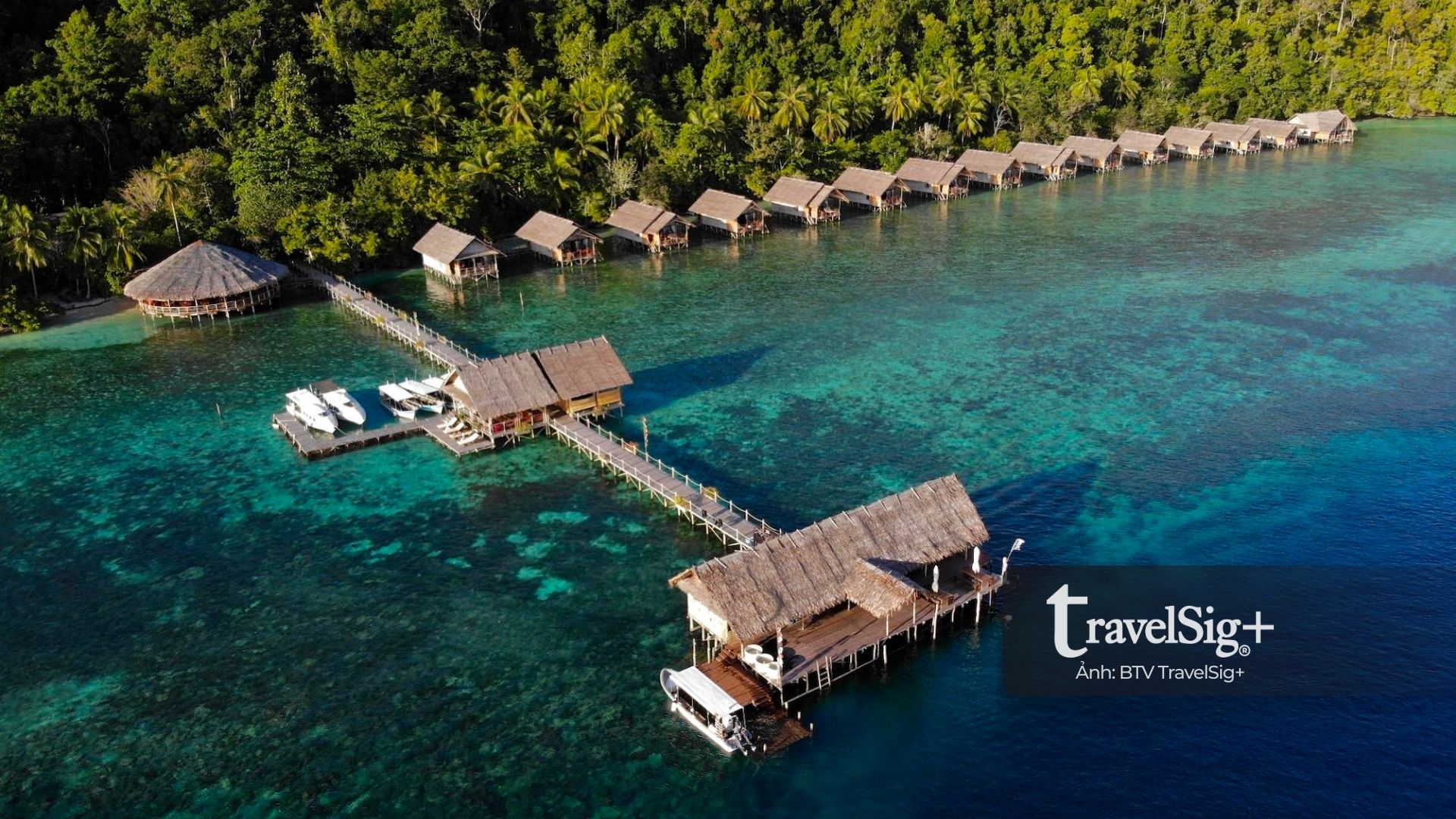 Lặn biển ở Raja Ampat - Thiên đường san hô rực rỡ của Indonesia