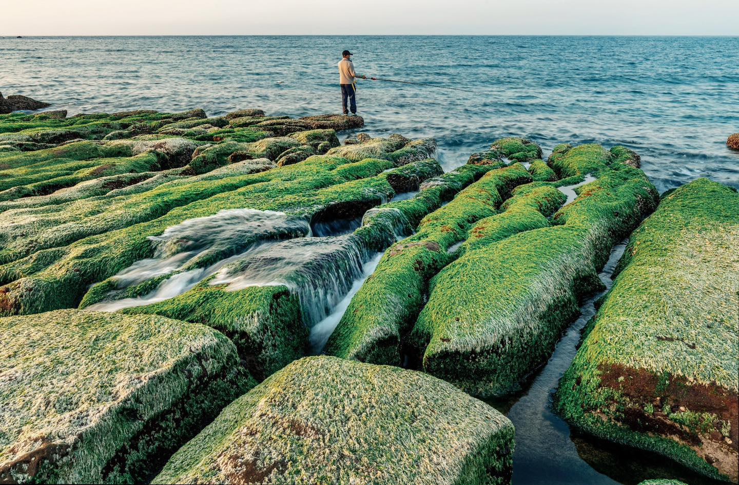 Laomei Green Reef, những rạn đá rêu xanh ẩn mình tại miền bắc Đài Loan