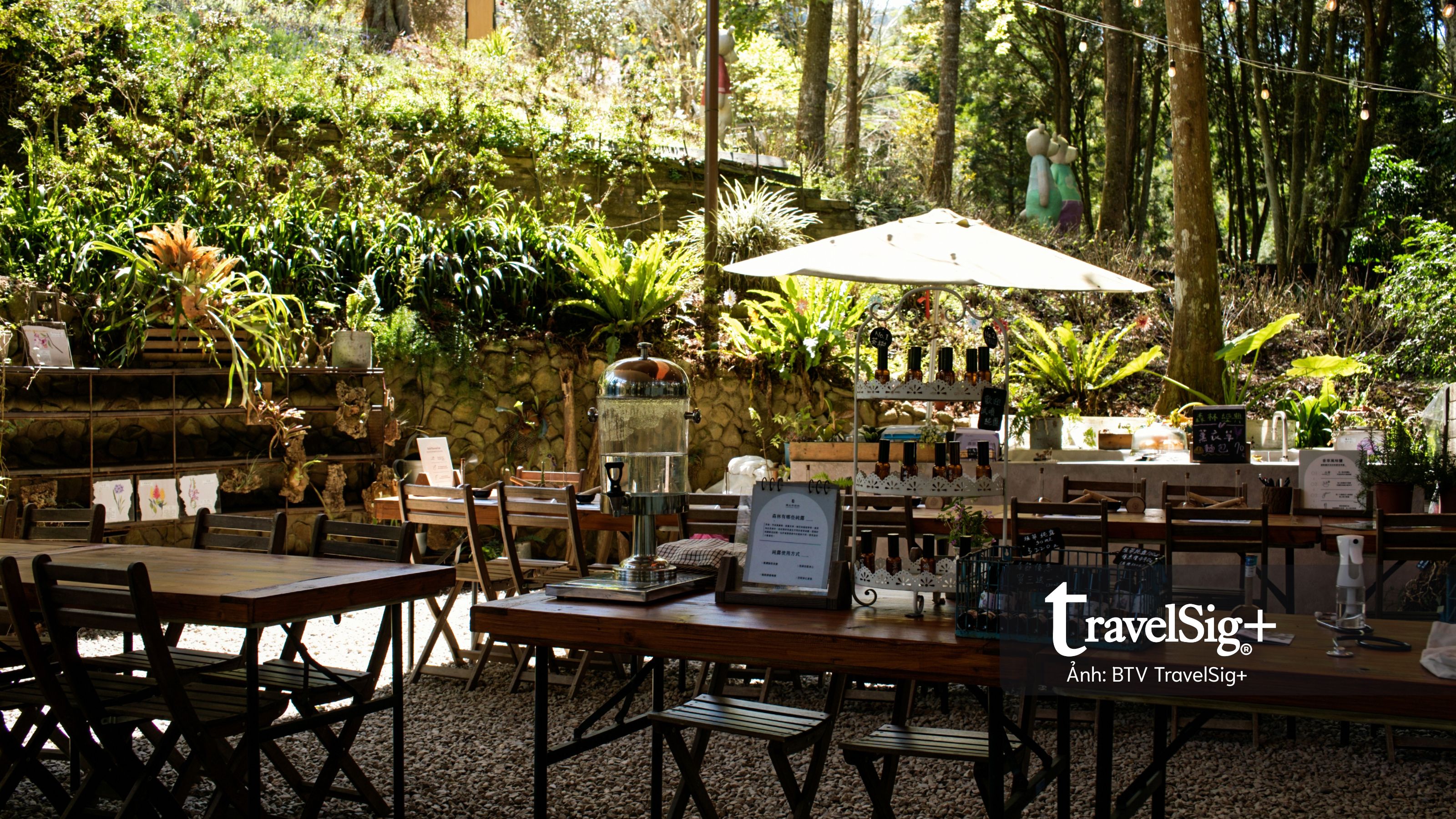 Lavender Forest: Khi giấc mơ hoa oải hương nở thành một miền sống chậm ở Đài Loan