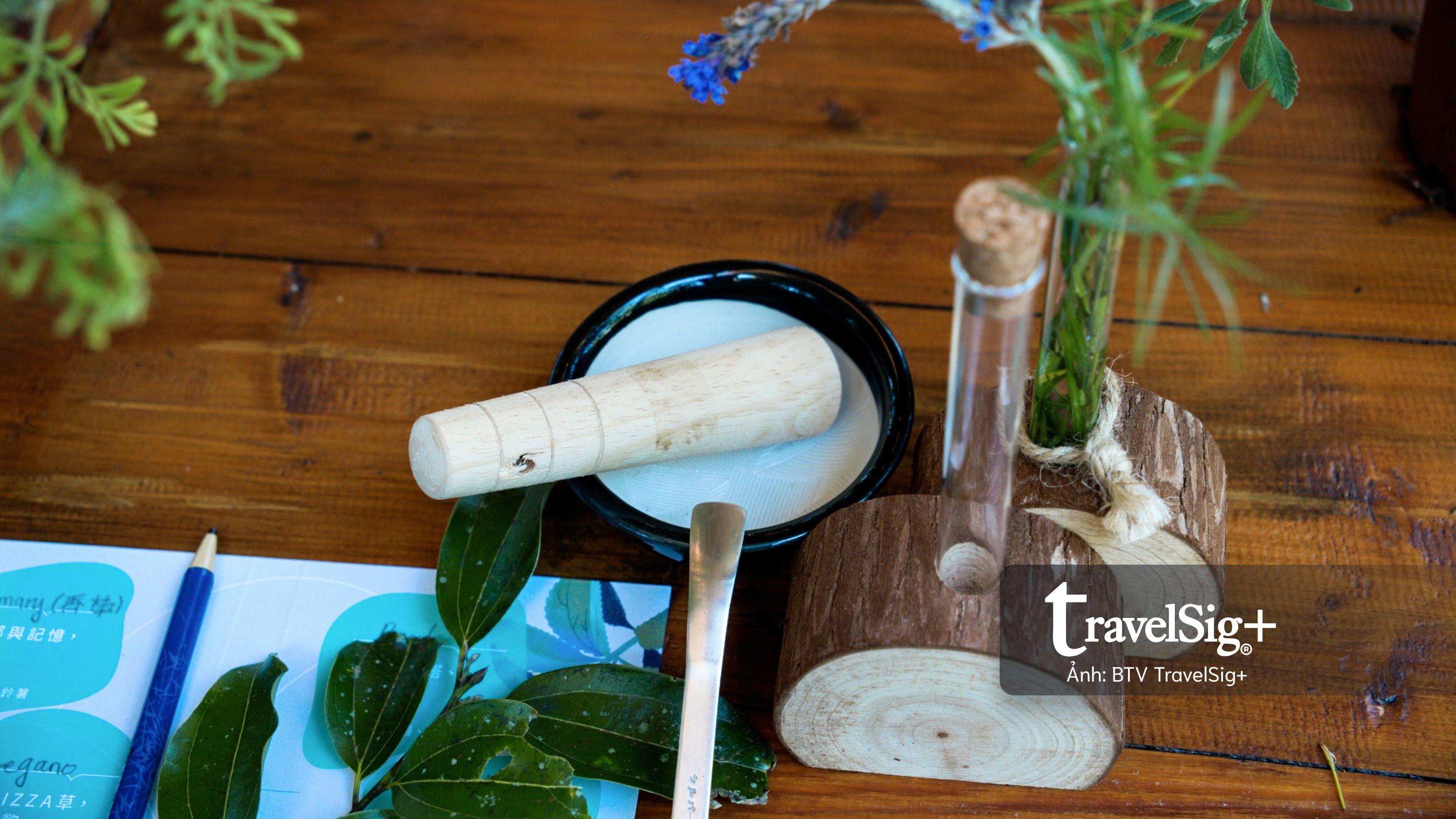 Lavender Forest: Khi giấc mơ hoa oải hương nở thành một miền sống chậm ở Đài Loan