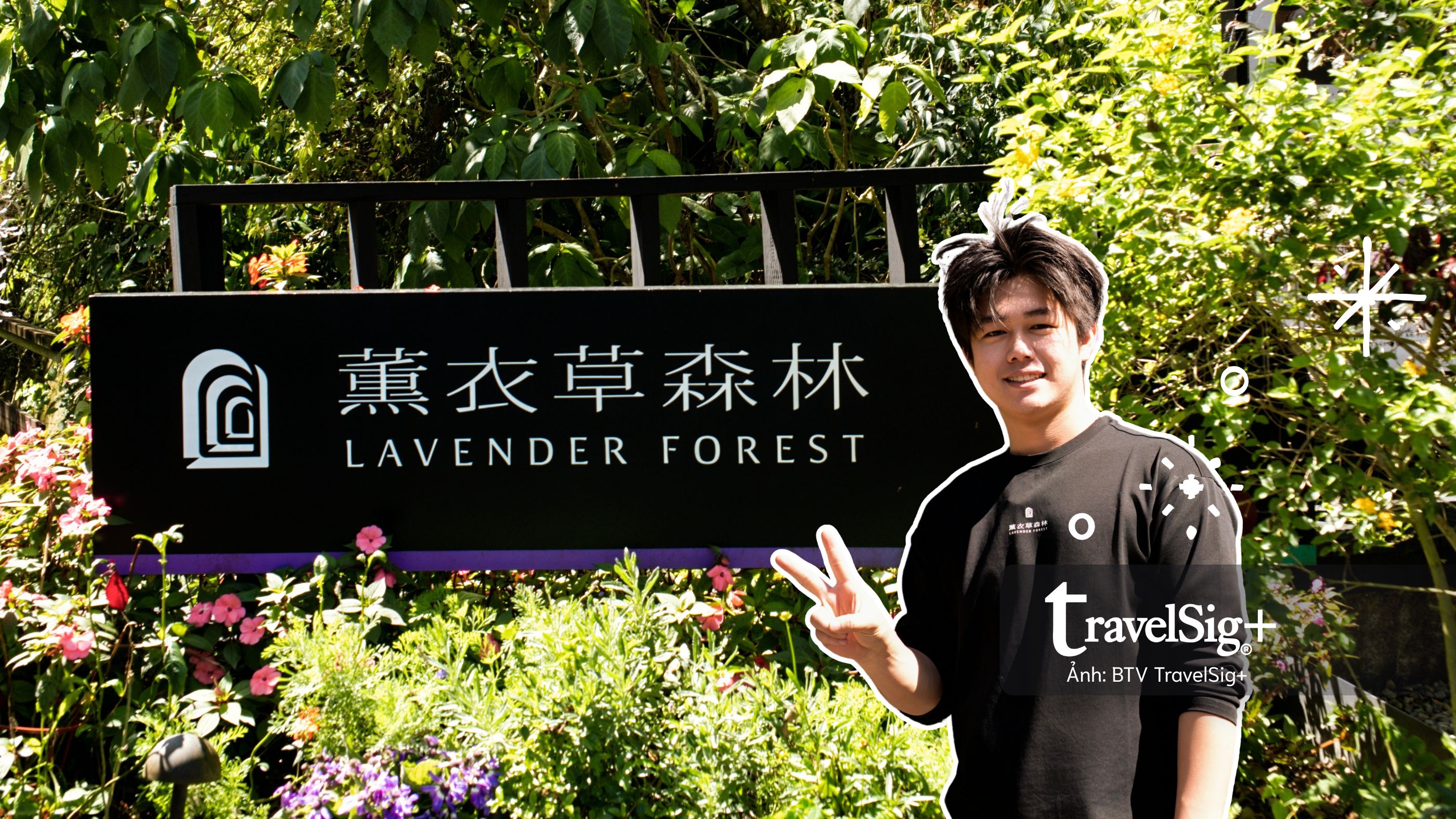 Lavender Forest: Khi giấc mơ hoa oải hương nở thành một miền sống chậm ở Đài Loan