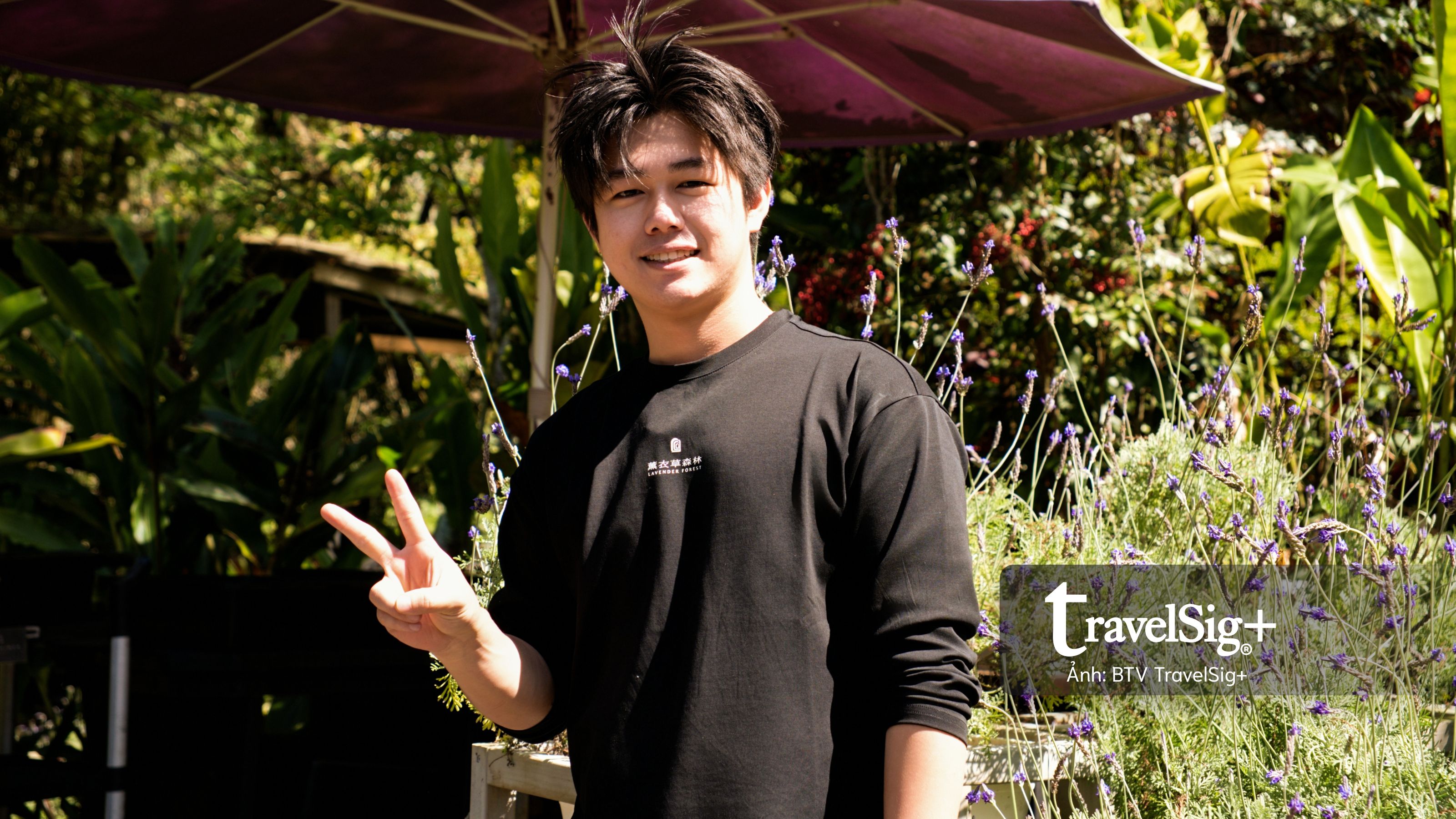 Lavender Forest: Khi giấc mơ hoa oải hương nở thành một miền sống chậm ở Đài Loan