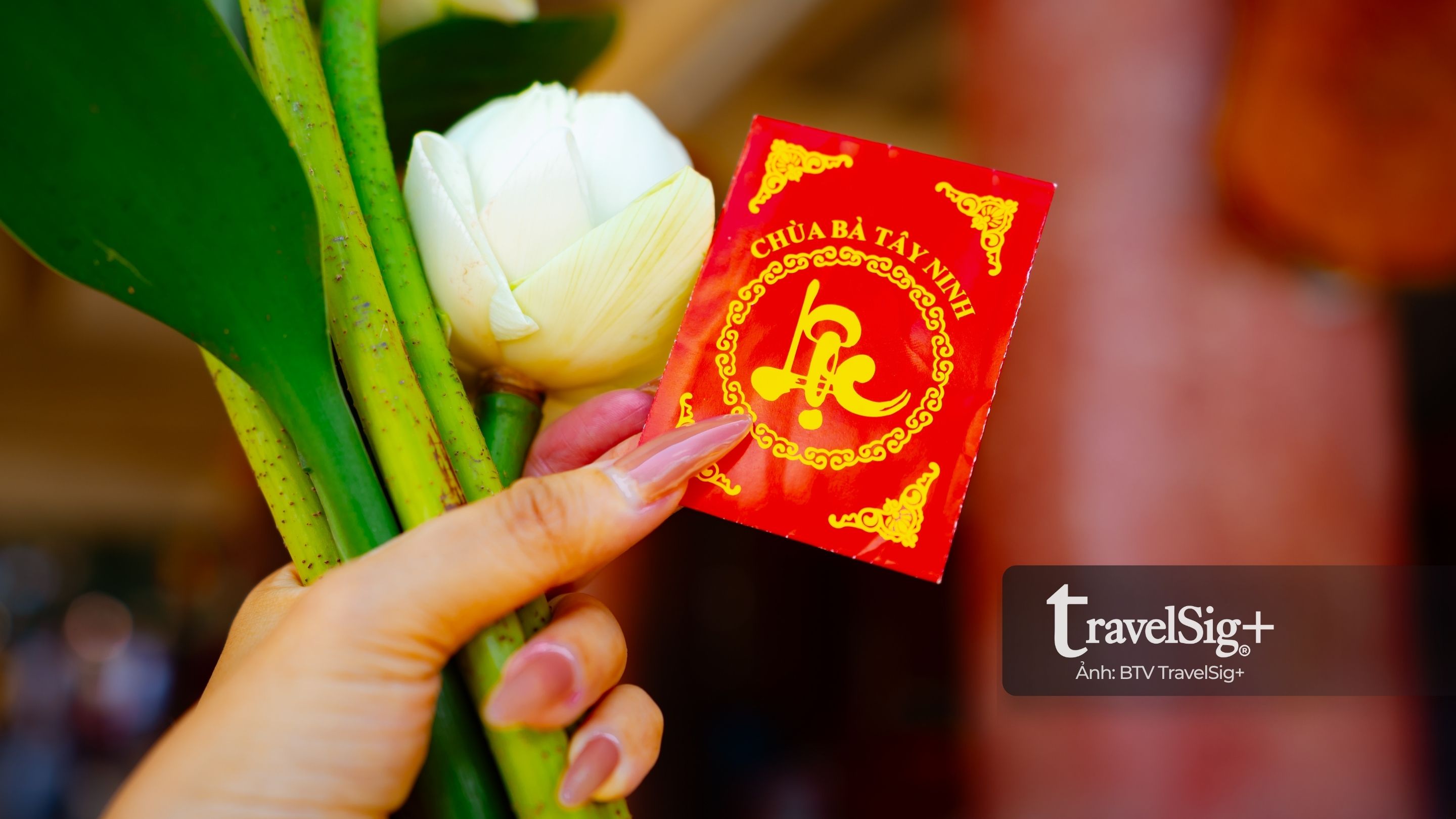 Lễ bà Linh Sơn Thánh Mẫu – hành trình hướng về miền an yên trên núi Bà Đen, Tây Ninh