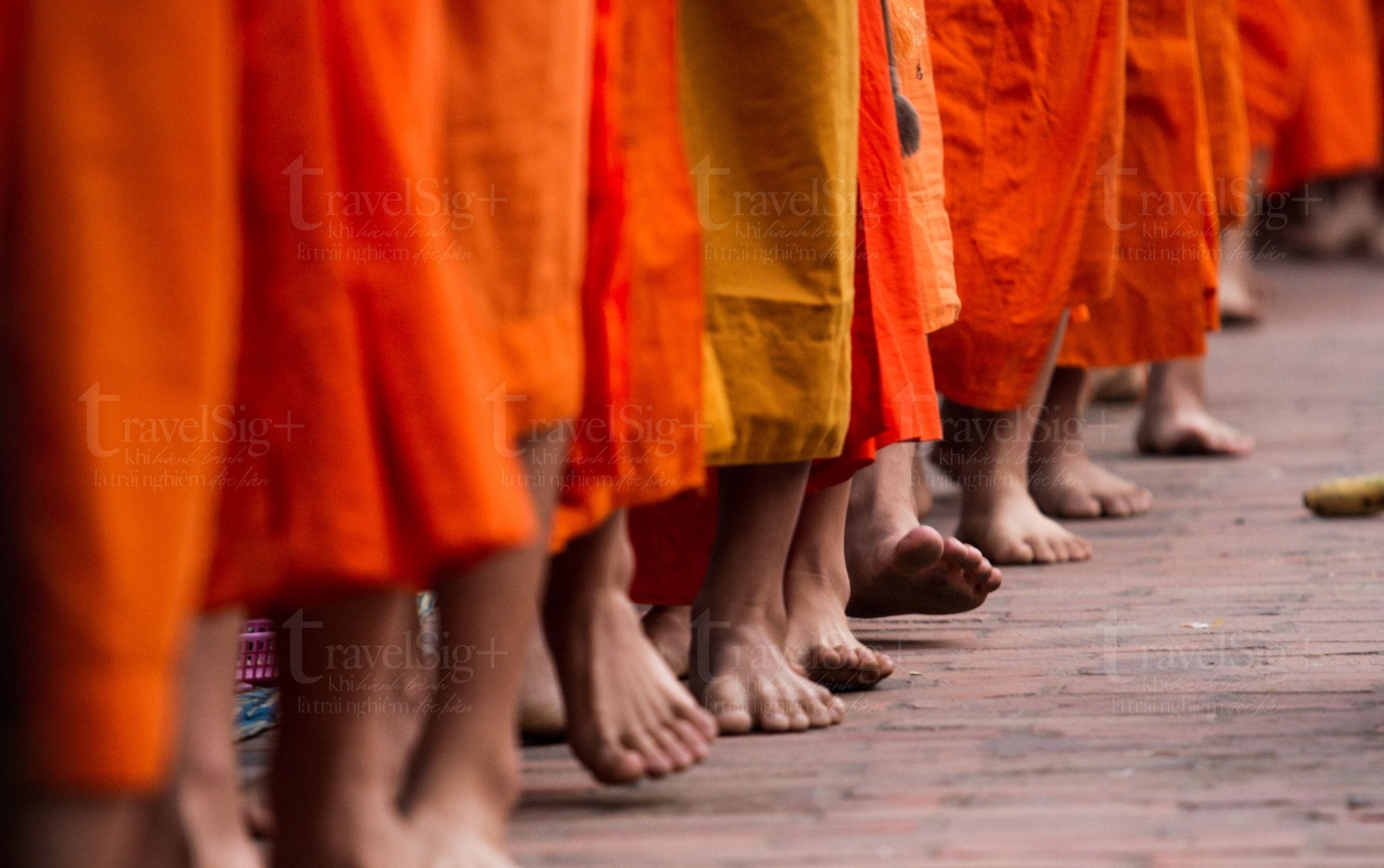 Lễ khất thực Tak Bat ở Lào, nét đẹp tâm linh và văn hóa cộng đồng tại Luang Prabang