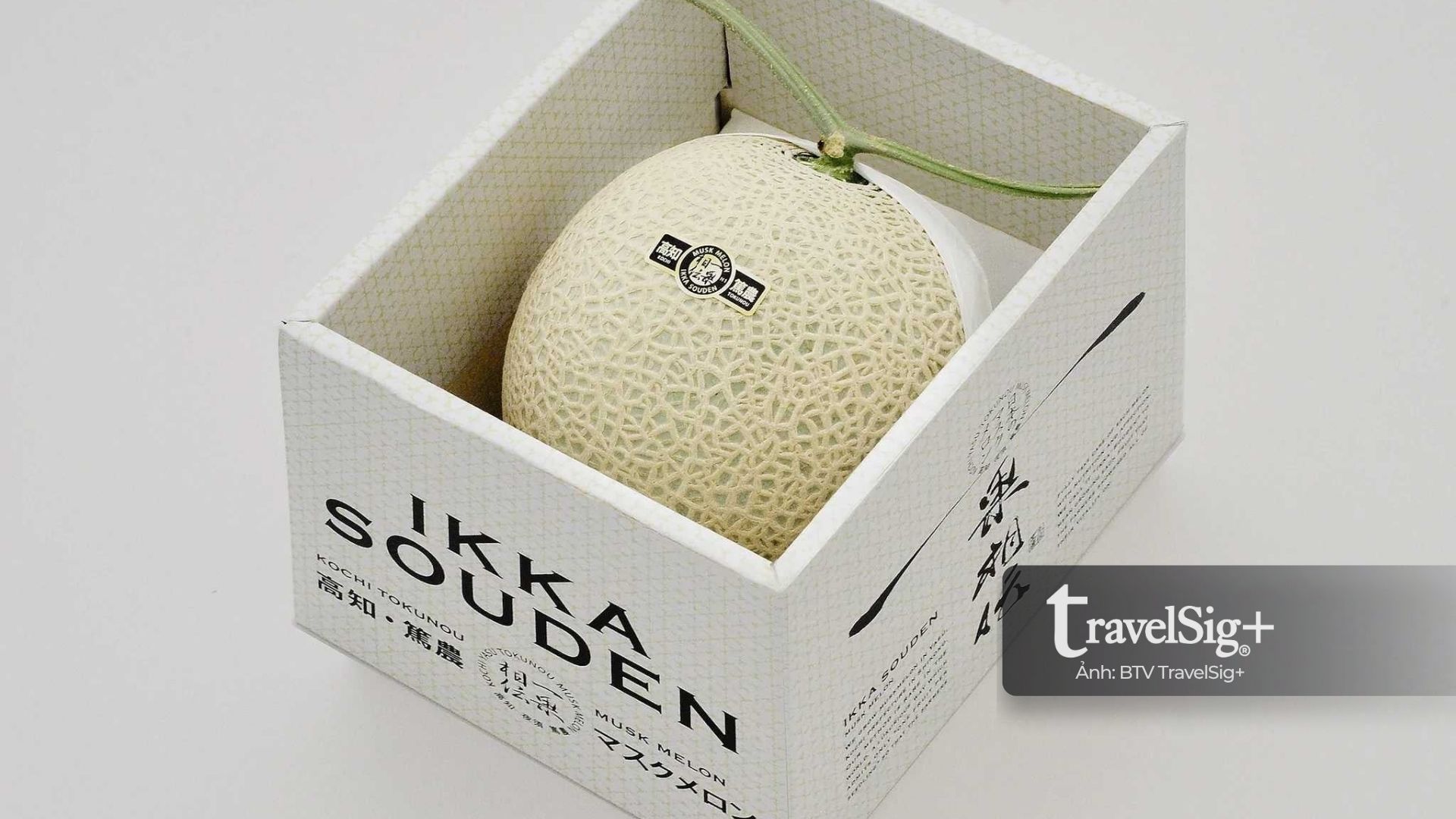 Luxury Fruits - Khi trái cây trở thành nghệ thuật ở Nhật Bản
