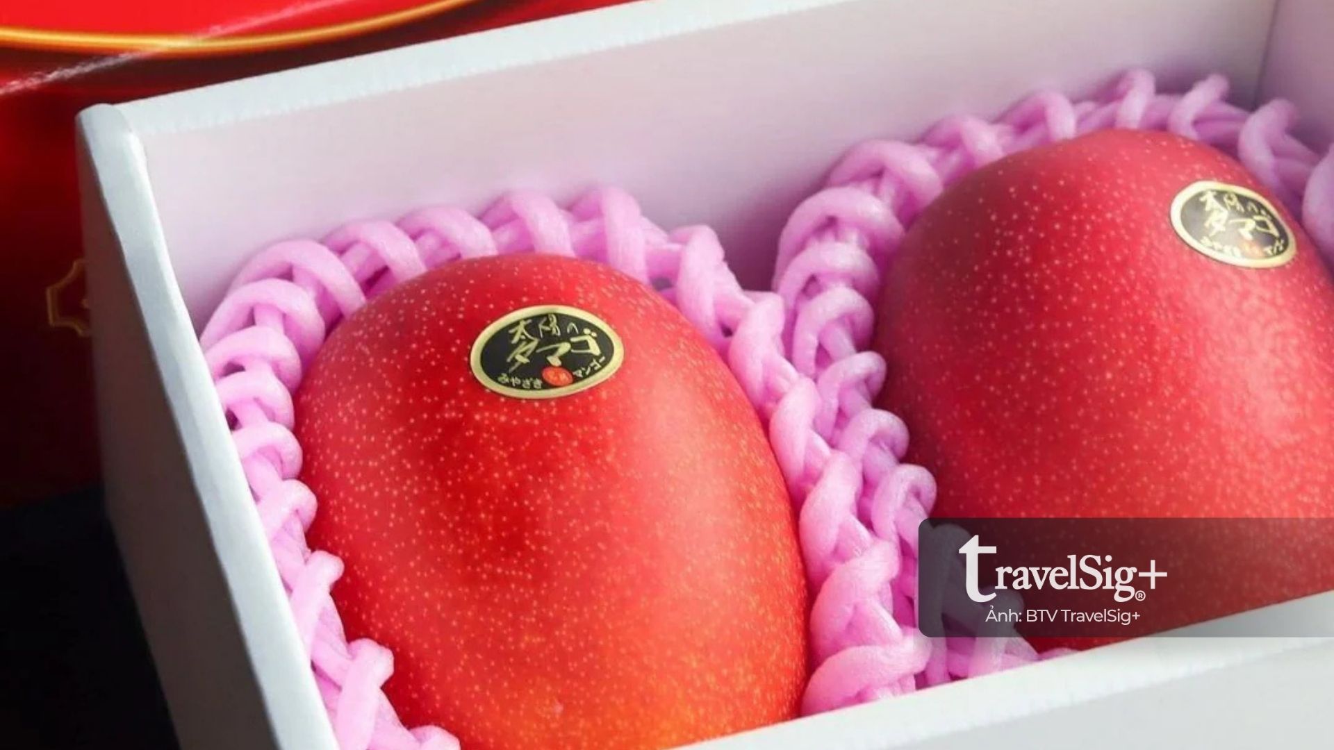 Taiyo no Tamago – “Trứng Mặt Trời” từ Miyazaki