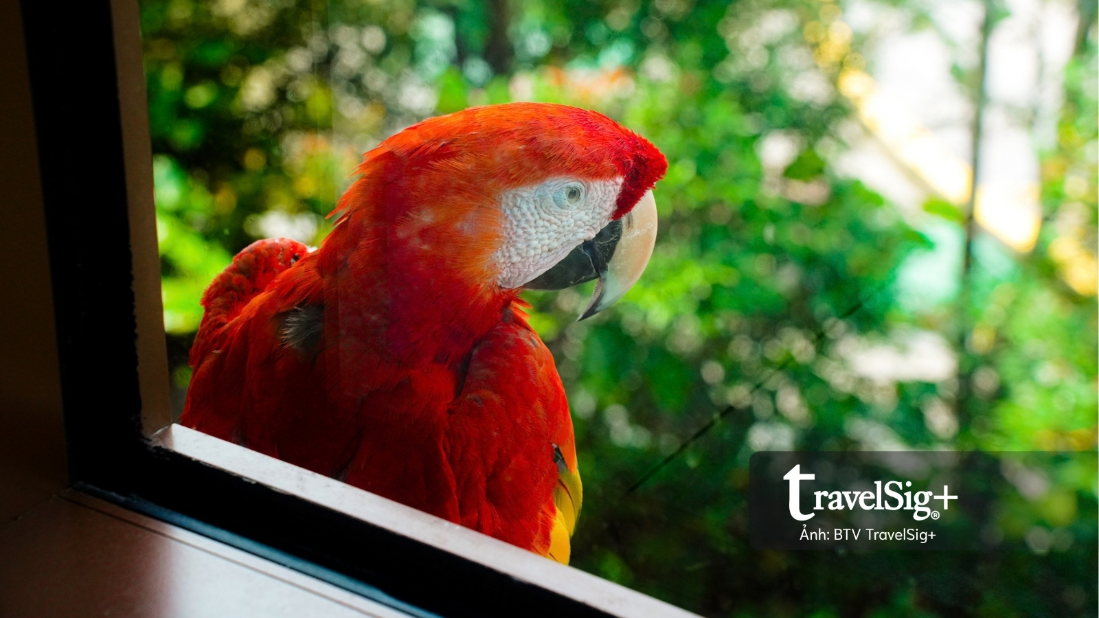 Mandai Wildlife Reserve - Top 3 điểm đến hấp dẫn nhất Singapore