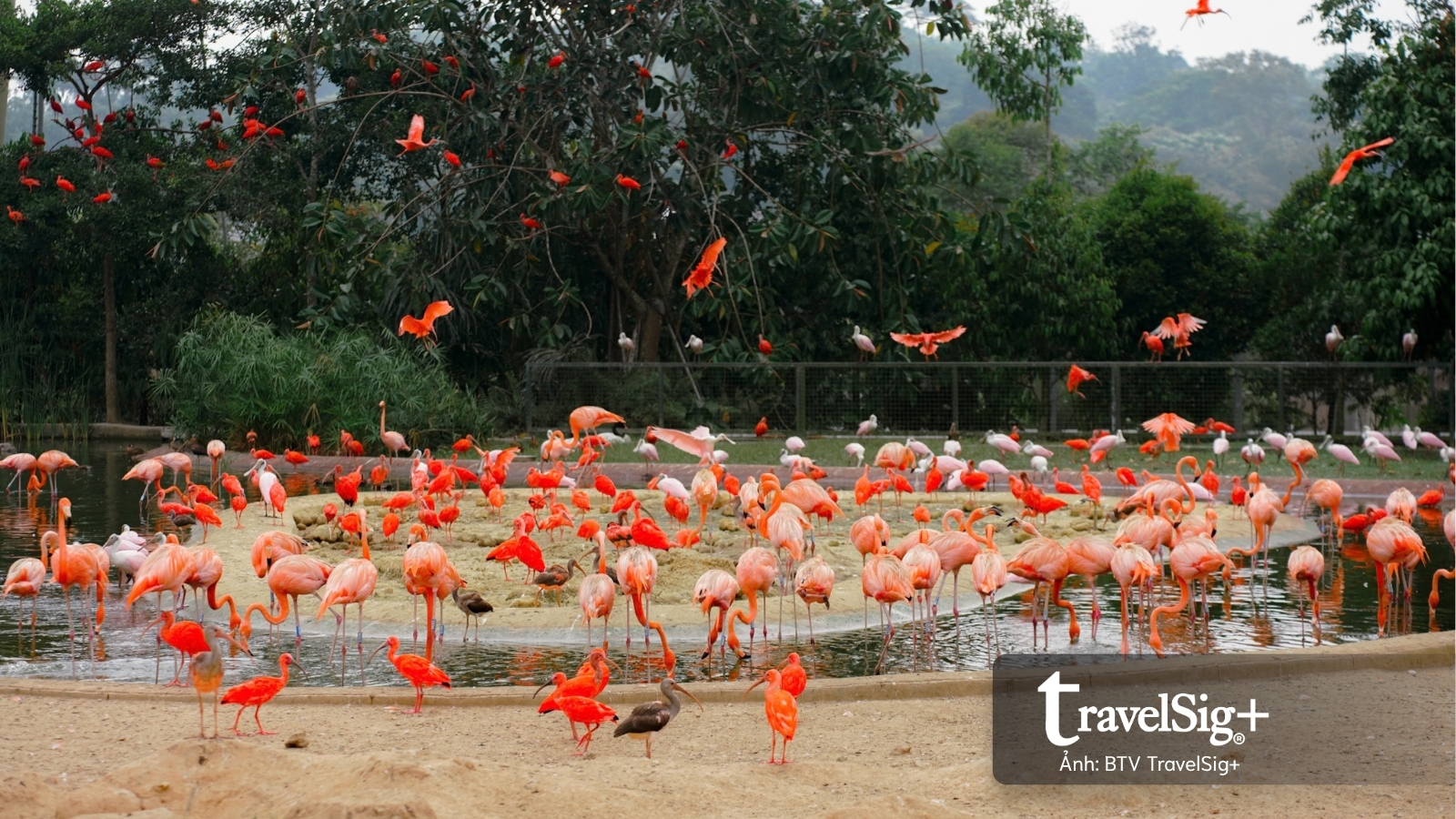 Mandai Wildlife Reserve - Top 3 điểm đến hấp dẫn nhất Singapore