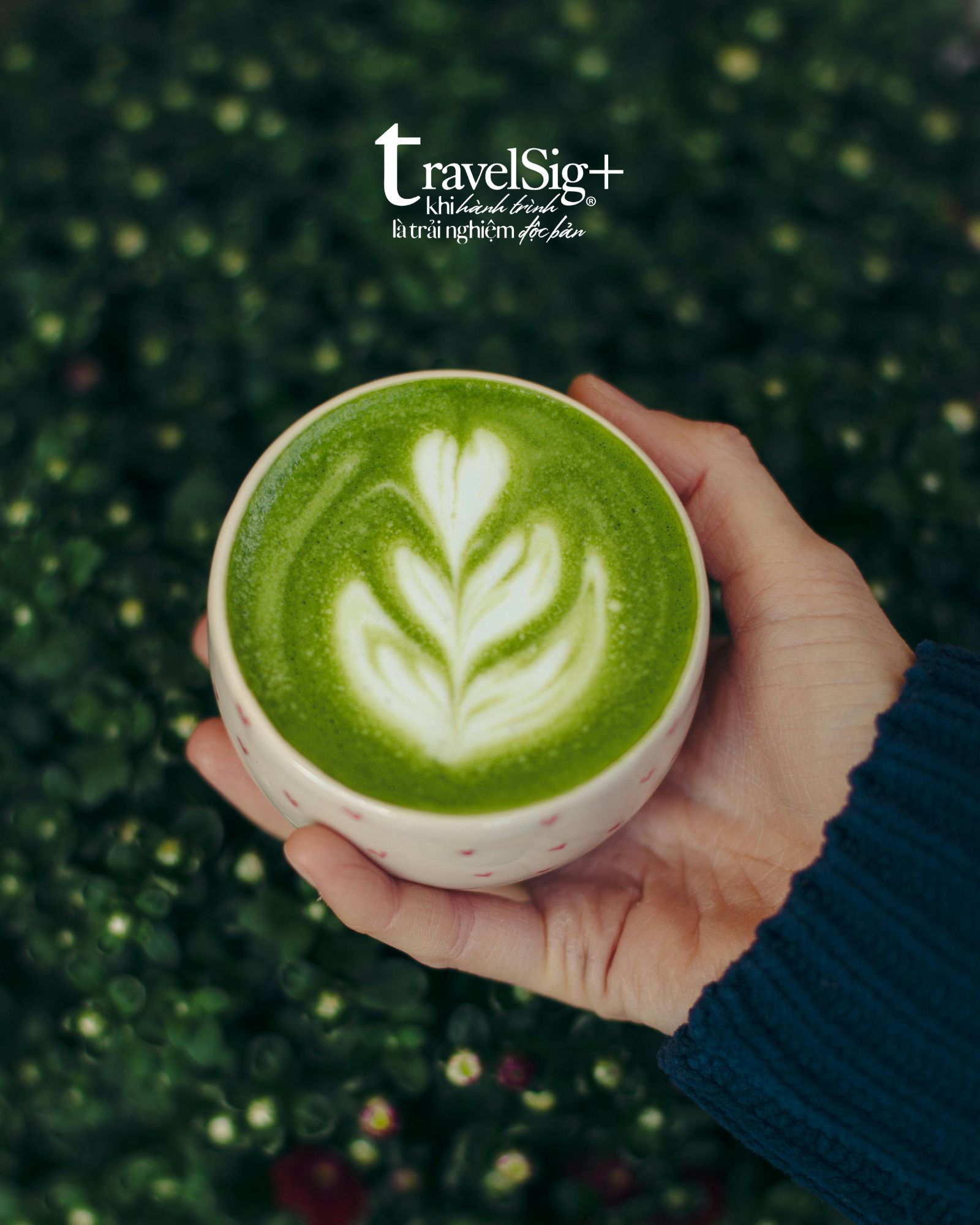 Matcha - Từ trà đạo Nhật Bản đến “cơn sốt” toàn cầu