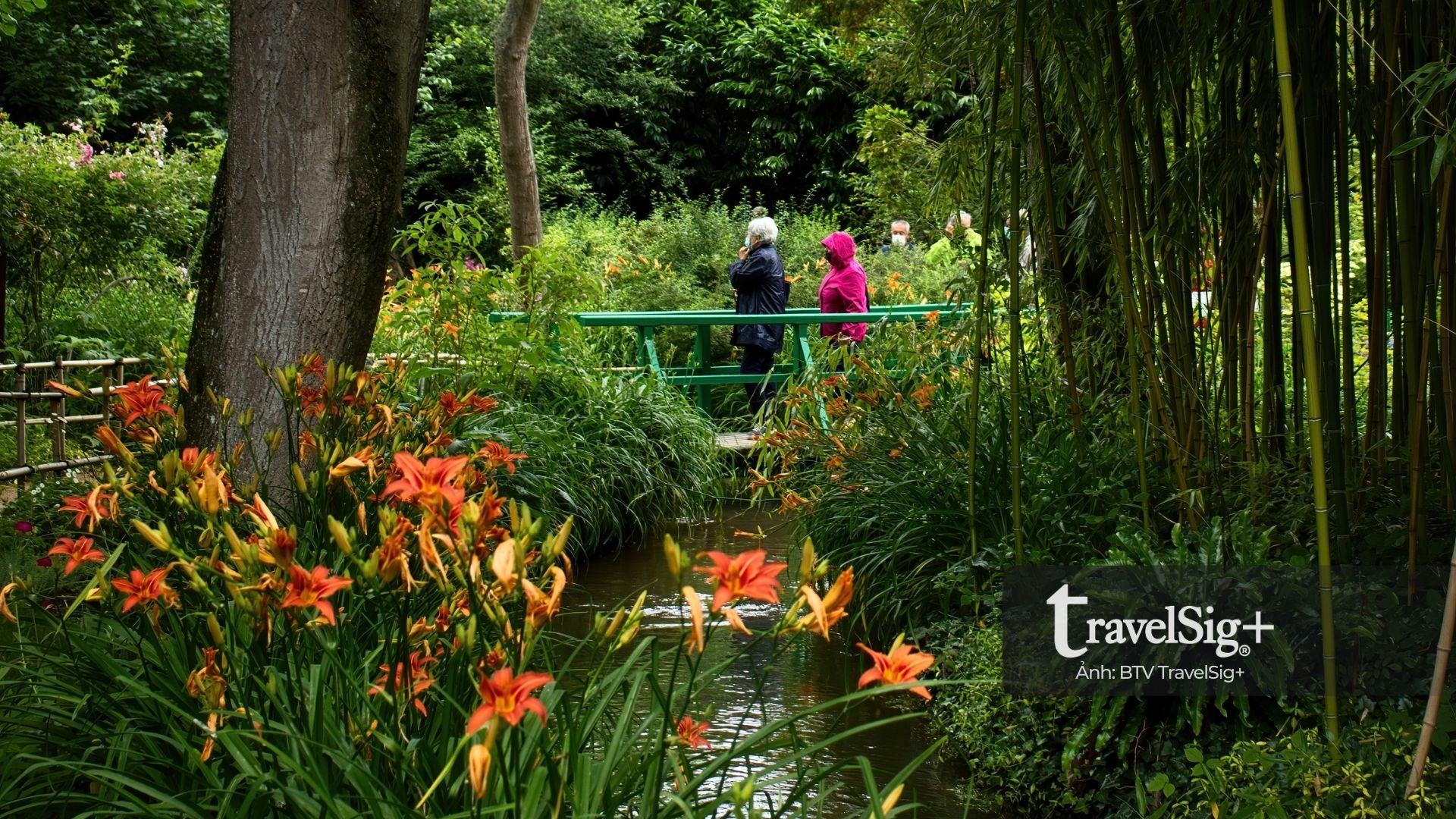 Monet’s Garden - Khu vườn ấn tượng của sắc hoa và nghệ thuật