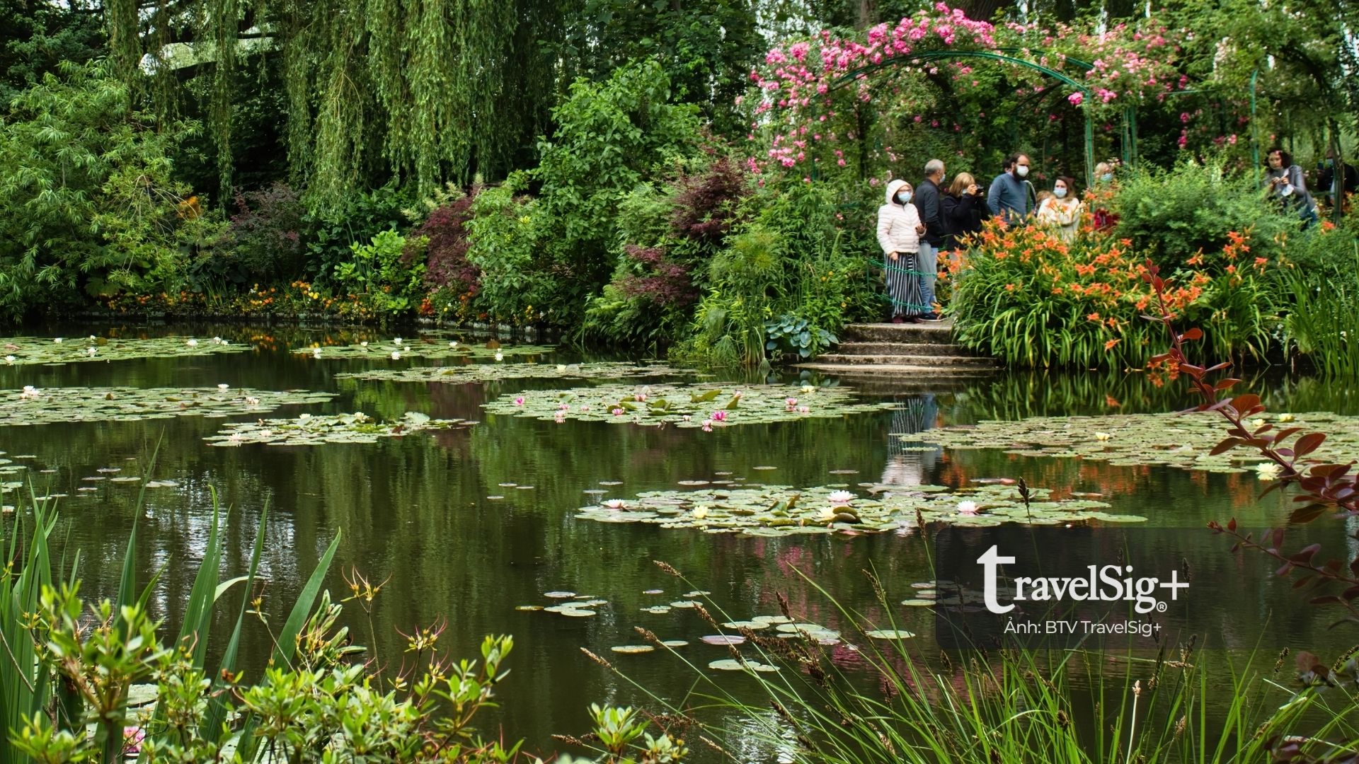 Monet’s Garden - Khu vườn ấn tượng của sắc hoa và nghệ thuật