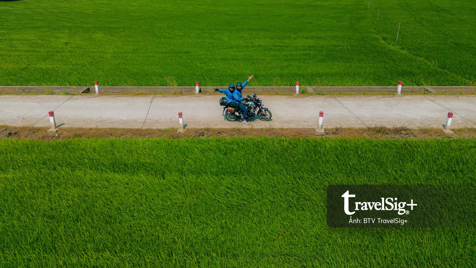 Một mùa xanh khác bên biển Phước Hải