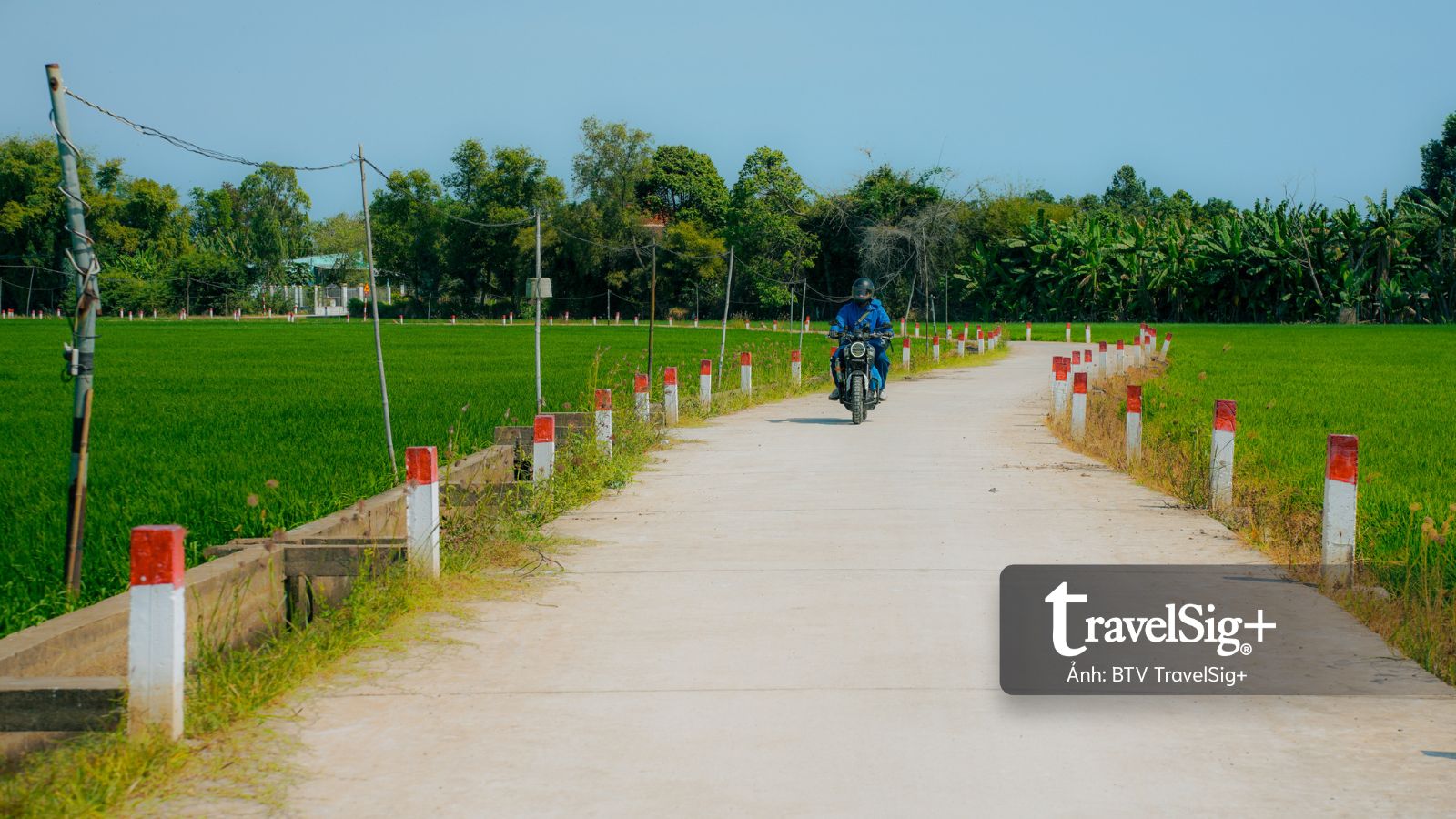 Một mùa xanh khác bên biển Phước Hải