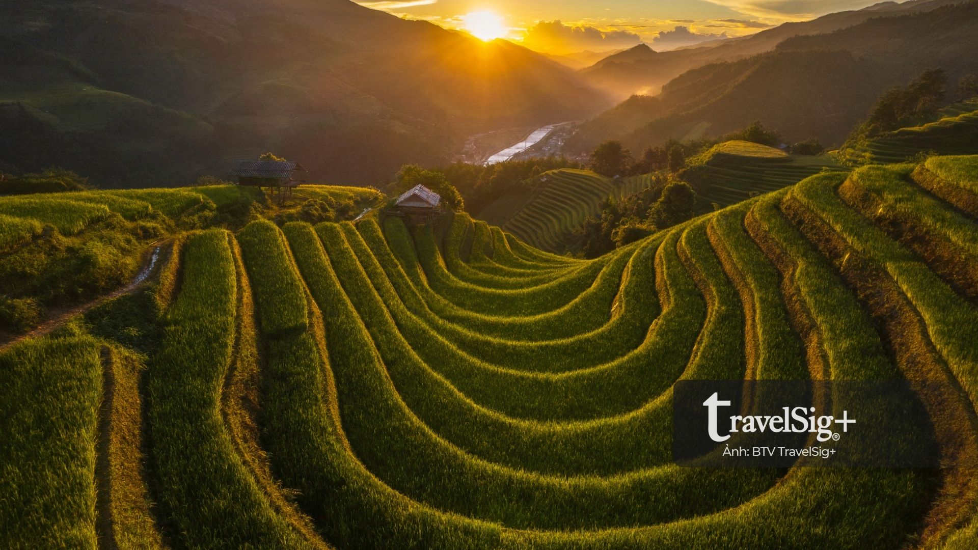Mù Cang Chải mùa lúa chín - bản giao hưởng vàng giữa trời Tây Bắc
