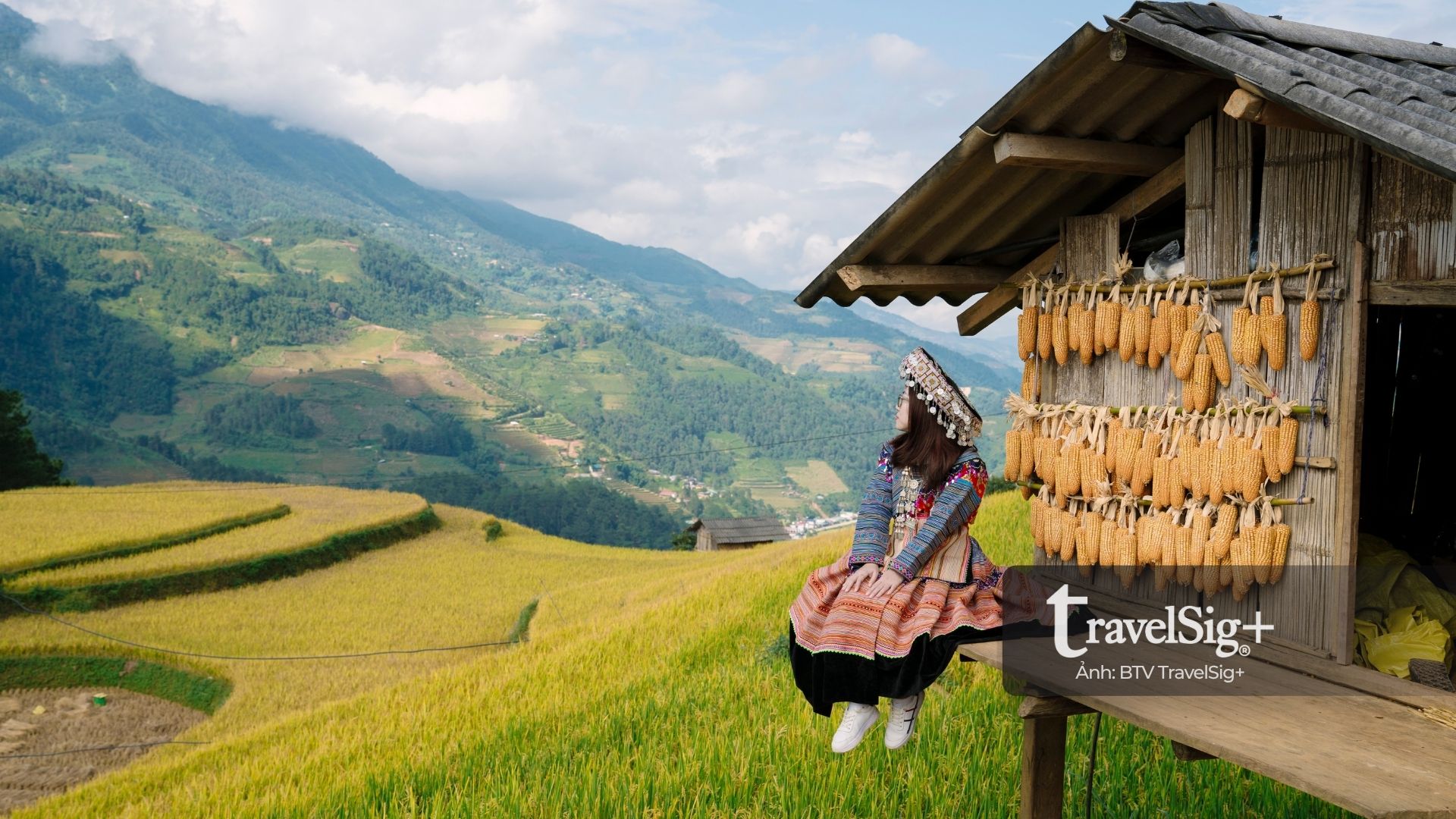 Mù Cang Chải mùa lúa chín - bản giao hưởng vàng giữa trời Tây Bắc