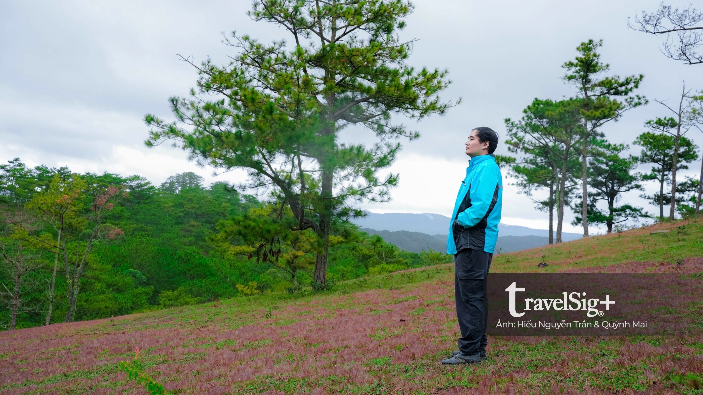 Mùa cỏ hồng bừng sáng trong sương mưa cuối thu Đà Lạt