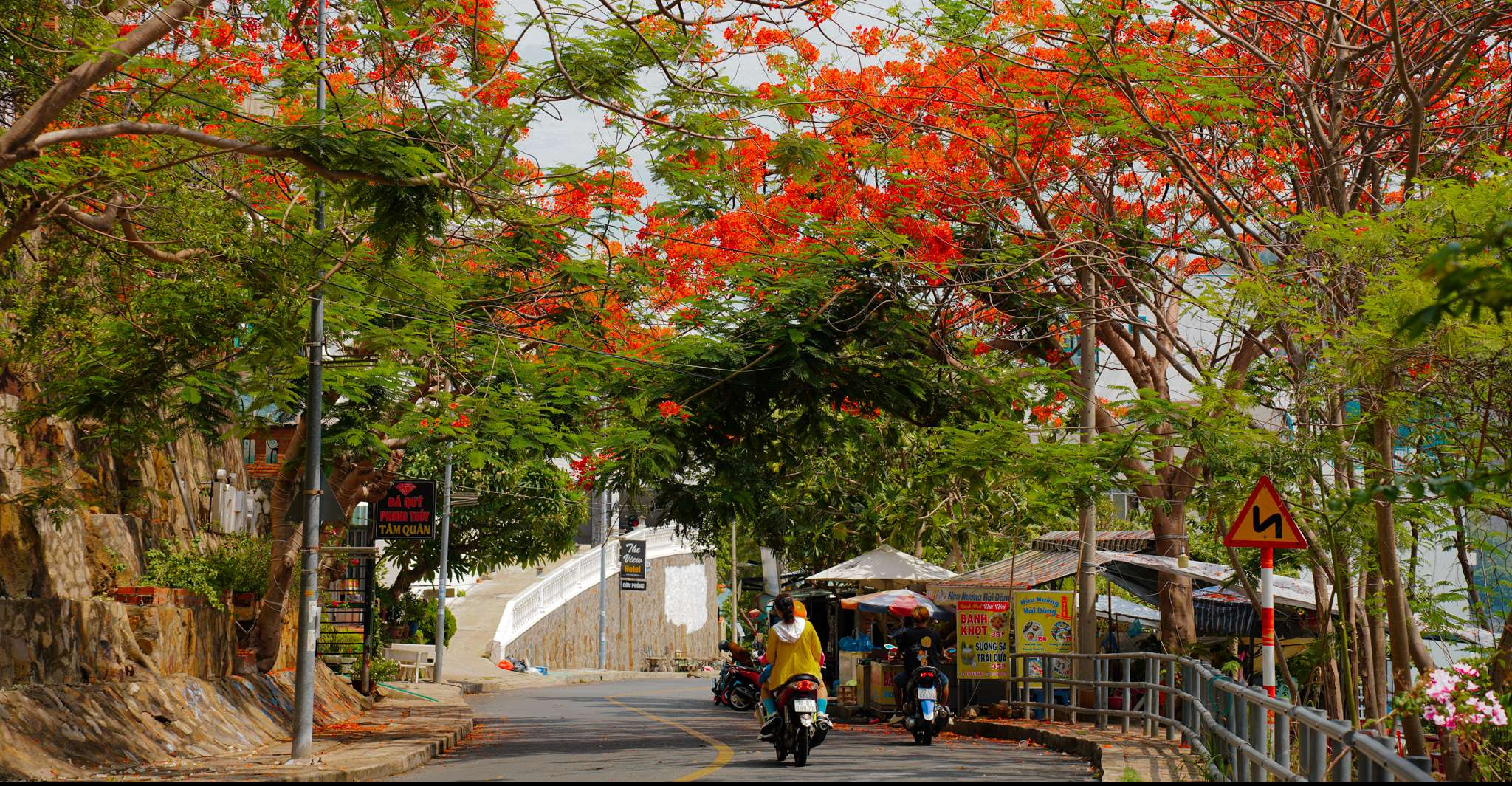 “Mùa hè đỏ” ở Vũng Tàu