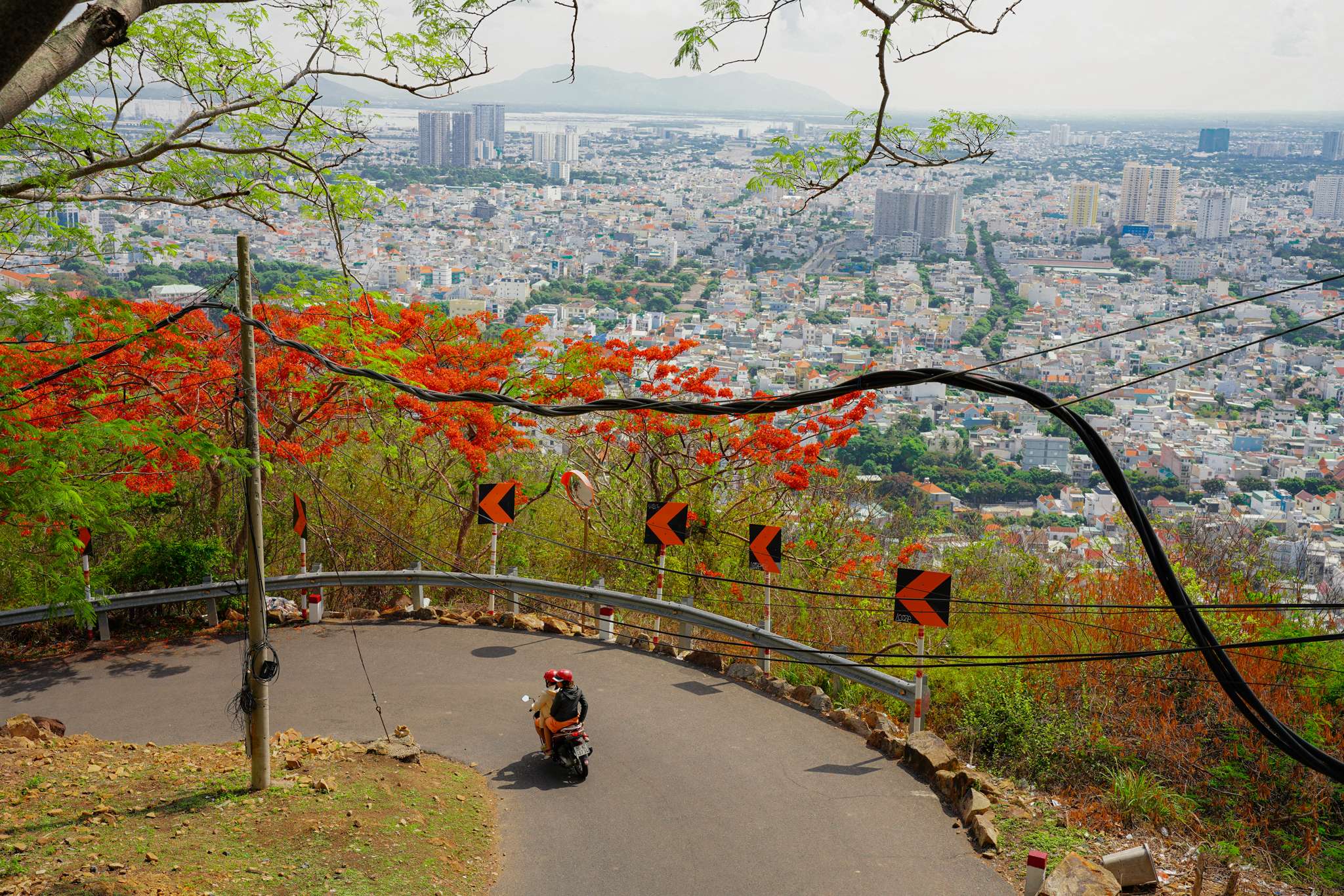 “Mùa hè đỏ” ở Vũng Tàu