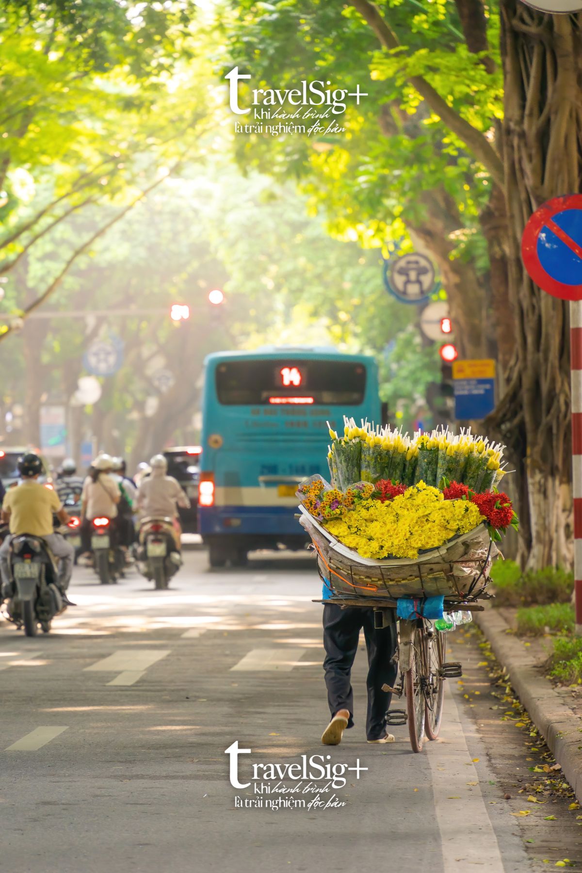 Mùa thu Hà Nội, bản giao hưởng của thiên nhiên và sắc hoa