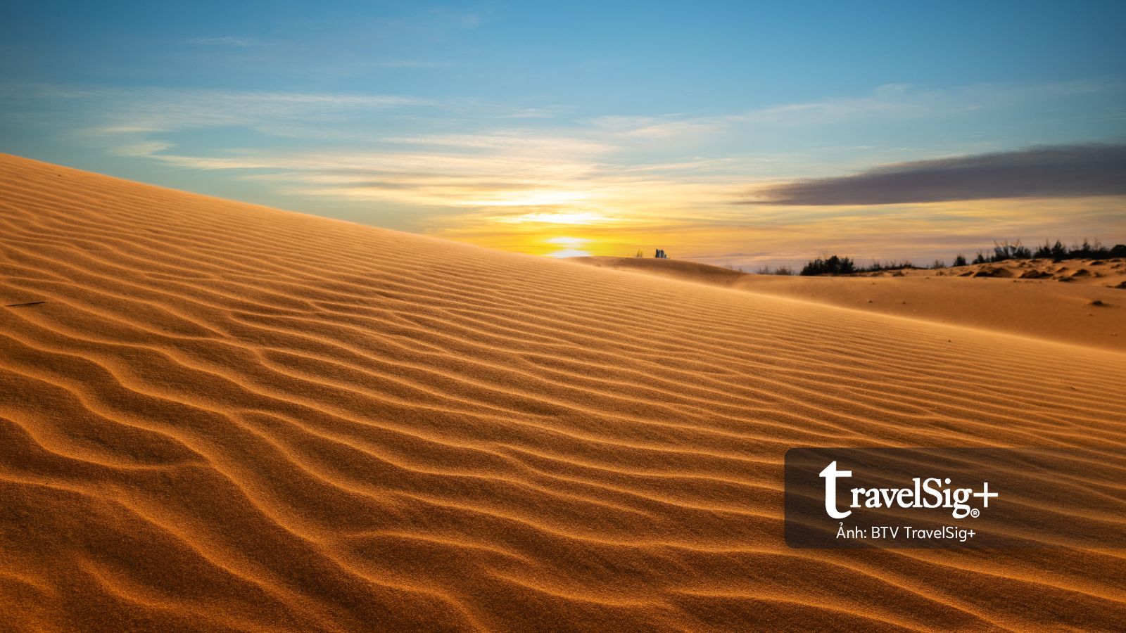 Mũi Né bứt tốc trên bản đồ du lịch, lọt Top 10 điểm đến xu hướng toàn cầu 2026