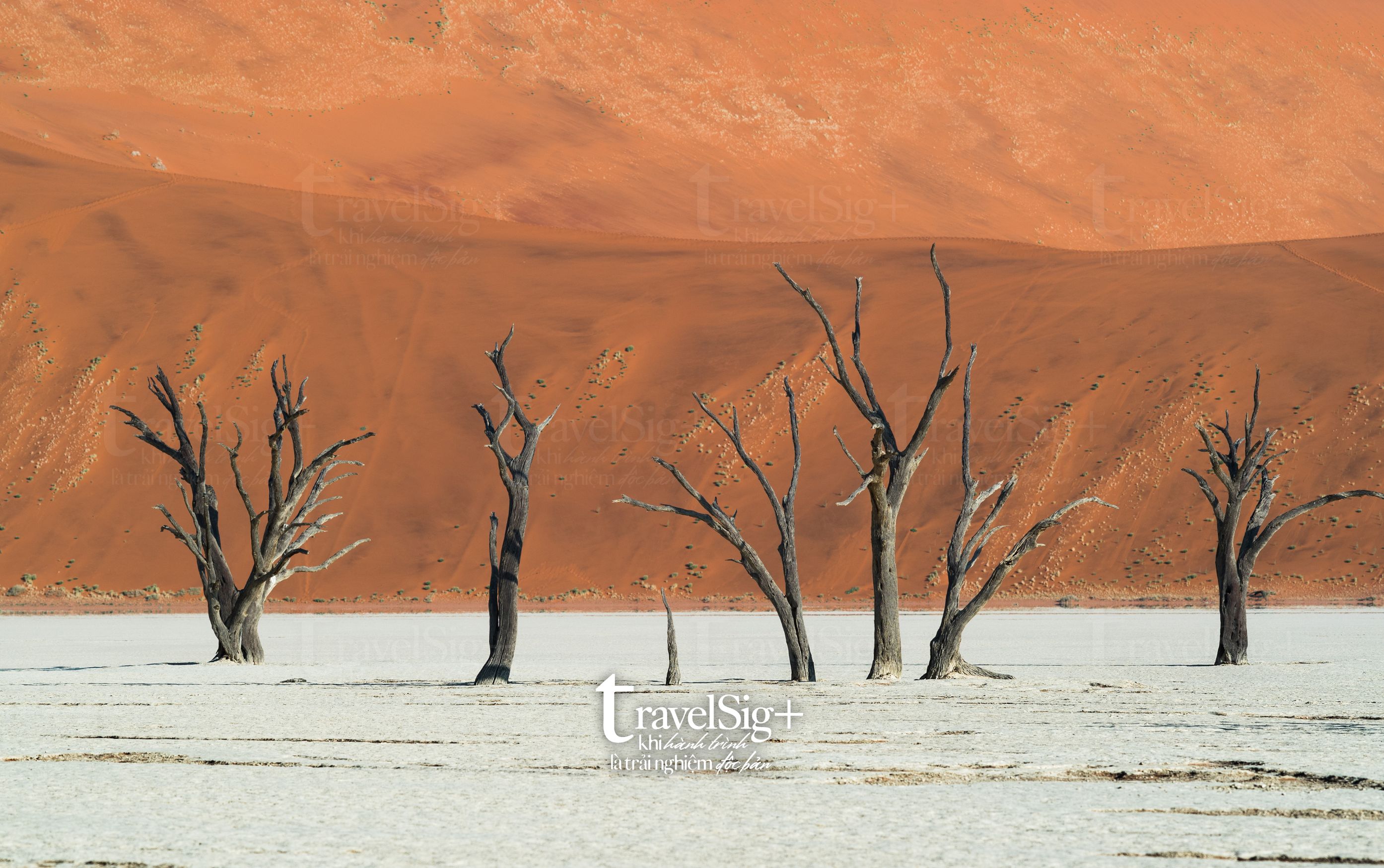 Namibia, vương quốc hoang dã của châu Phi