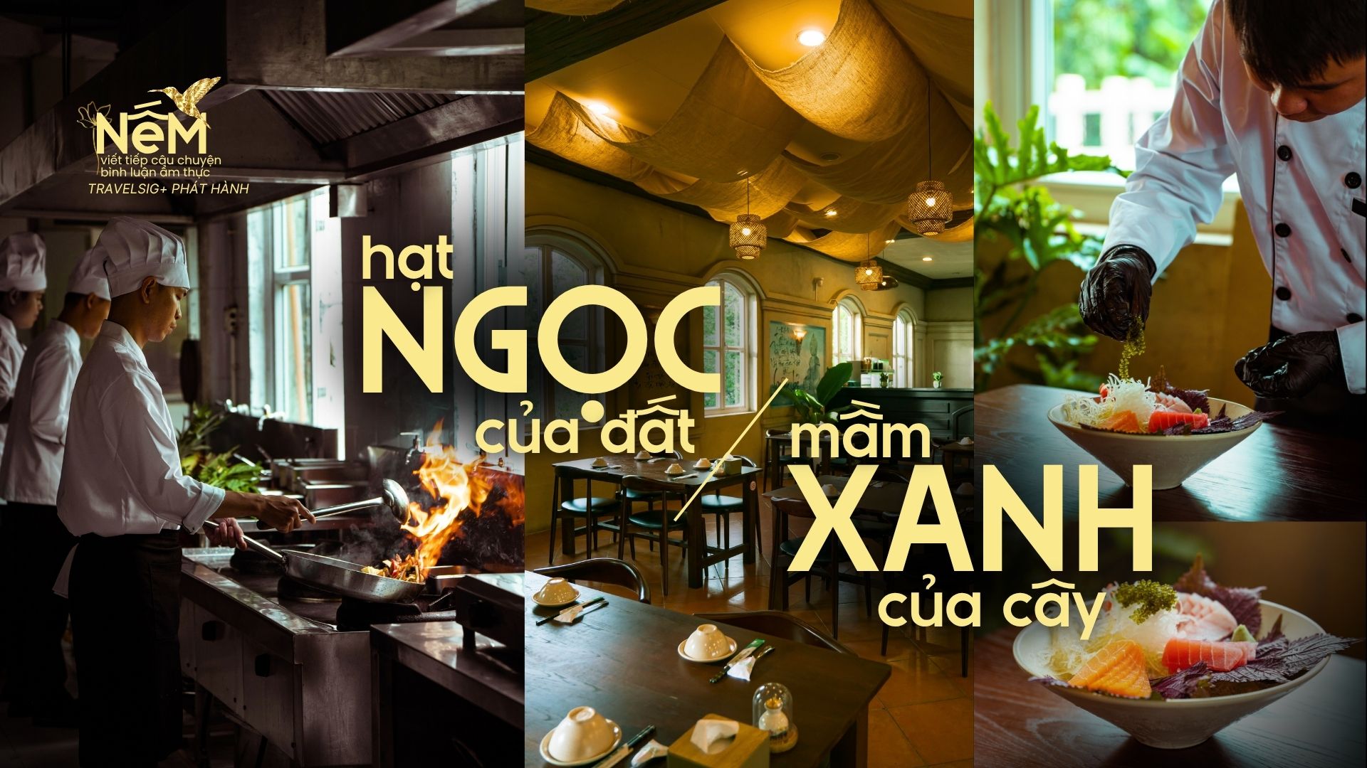 Ngọc Chi - Nâng tầm ẩm thực chay xứ Đà Thành