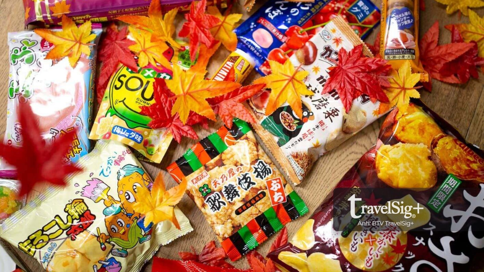 Nhật Bản - Bản hòa ca bốn mùa rực rỡ