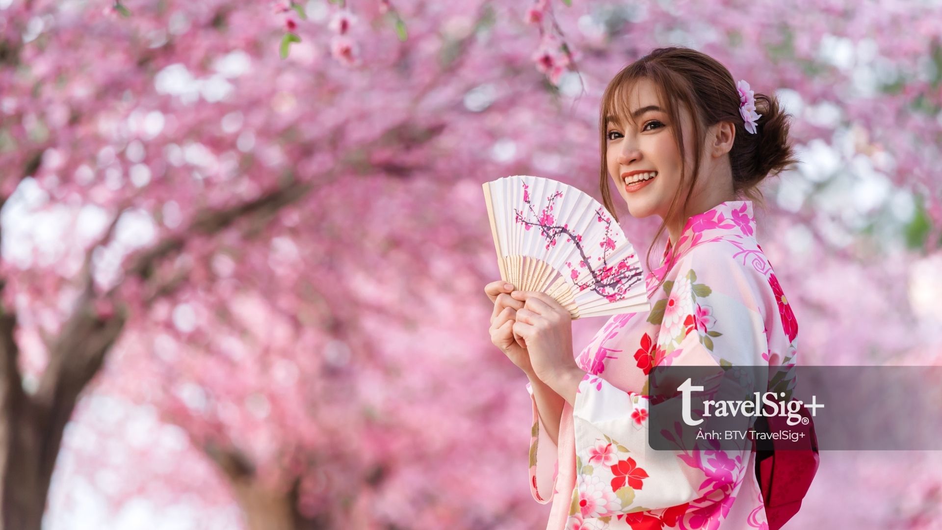 Nhật Bản - Bản hòa ca bốn mùa rực rỡ