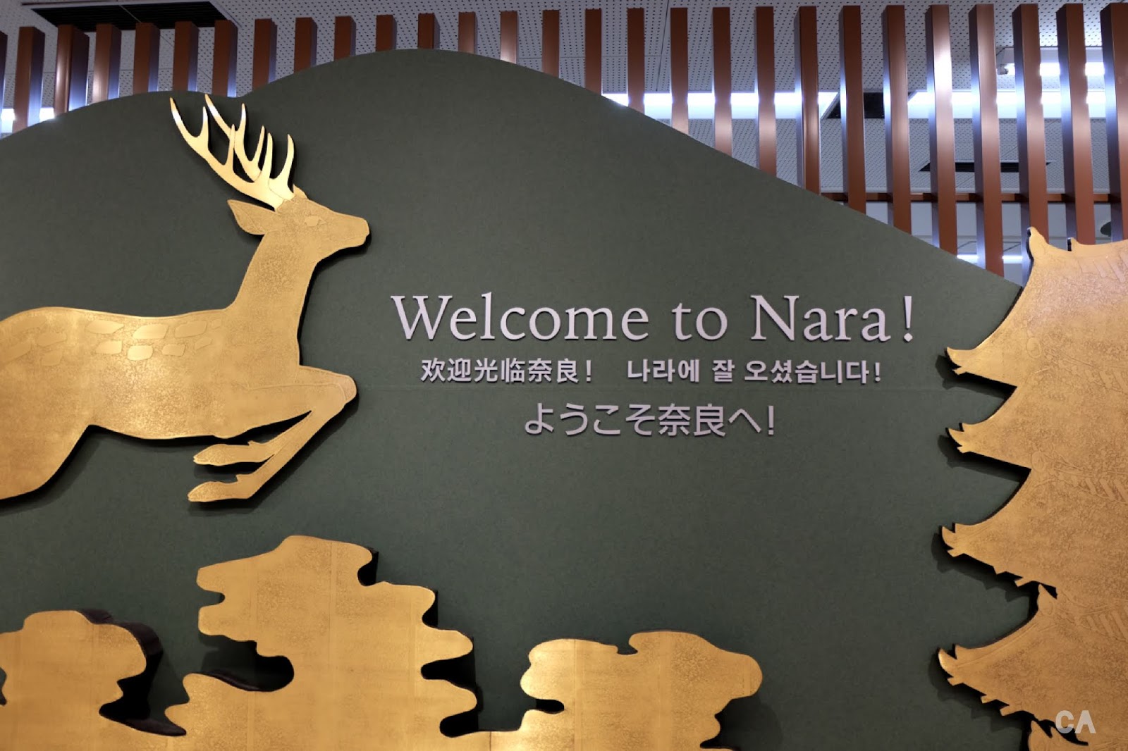 Nhật Bản có thể chán nản với quá tải du lịch, nhưng những con hươu ở Nara thì không