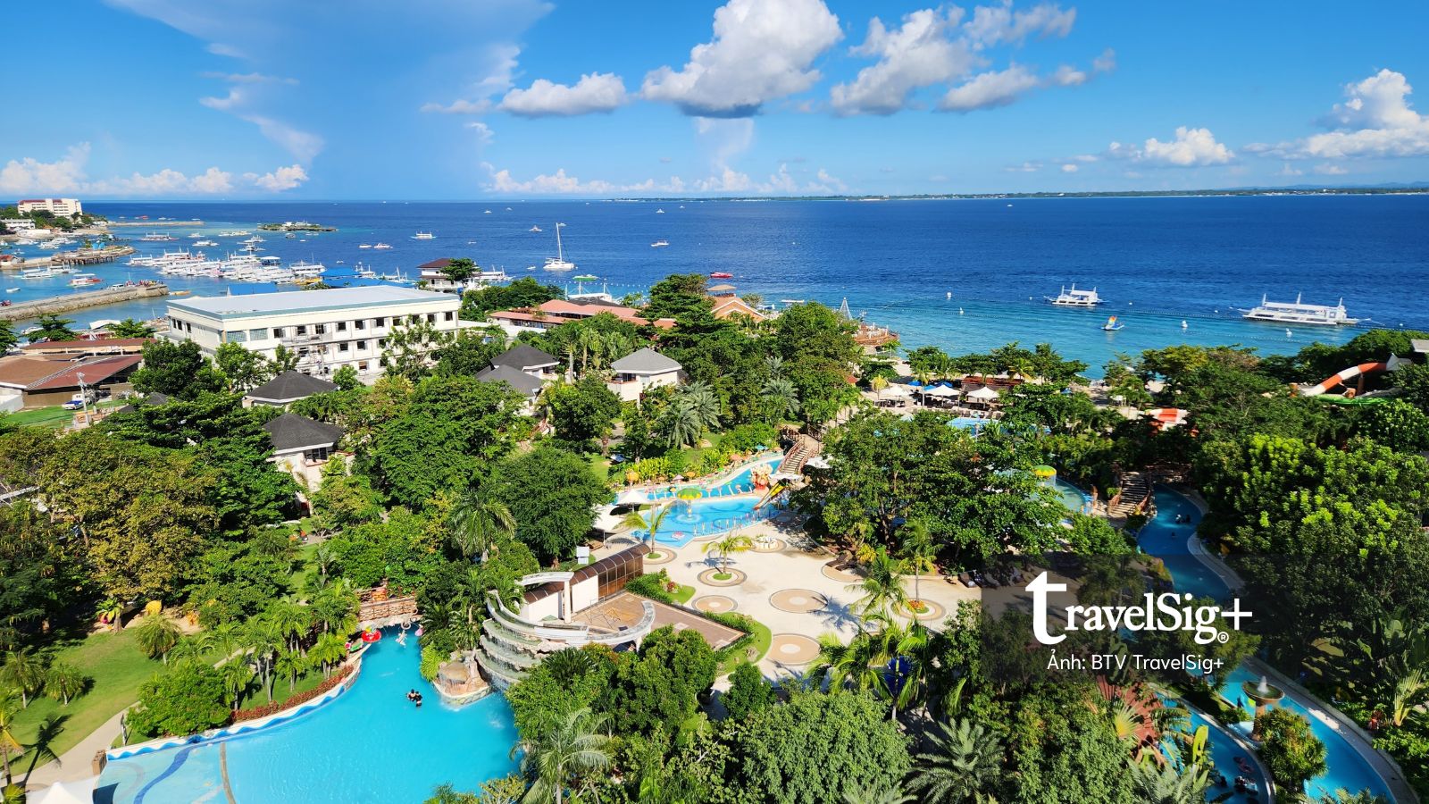 Những cuộc gặp gỡ dưới mặt biển Cebu, Philippines