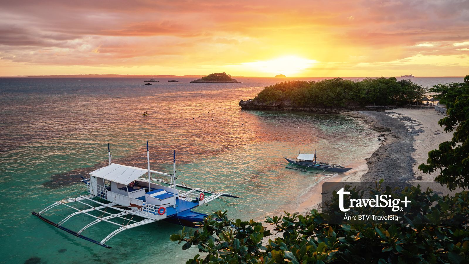 Những cuộc gặp gỡ dưới mặt biển Cebu, Philippines