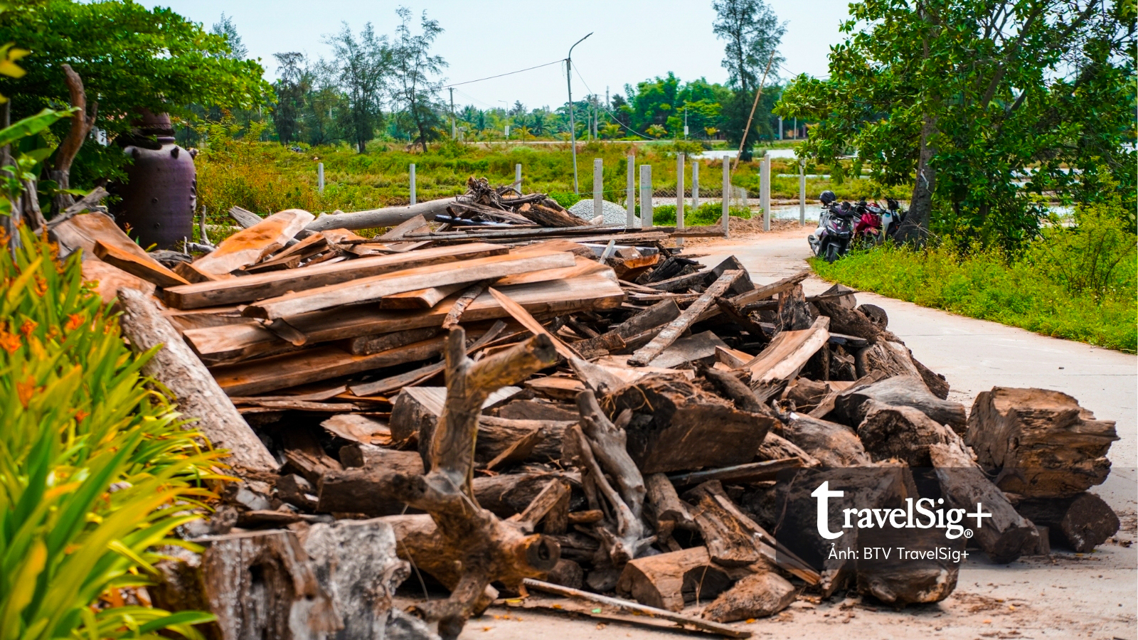 Những hình hài Hội An bước ra từ dòng nước lũ ở Làng Củi Lũ