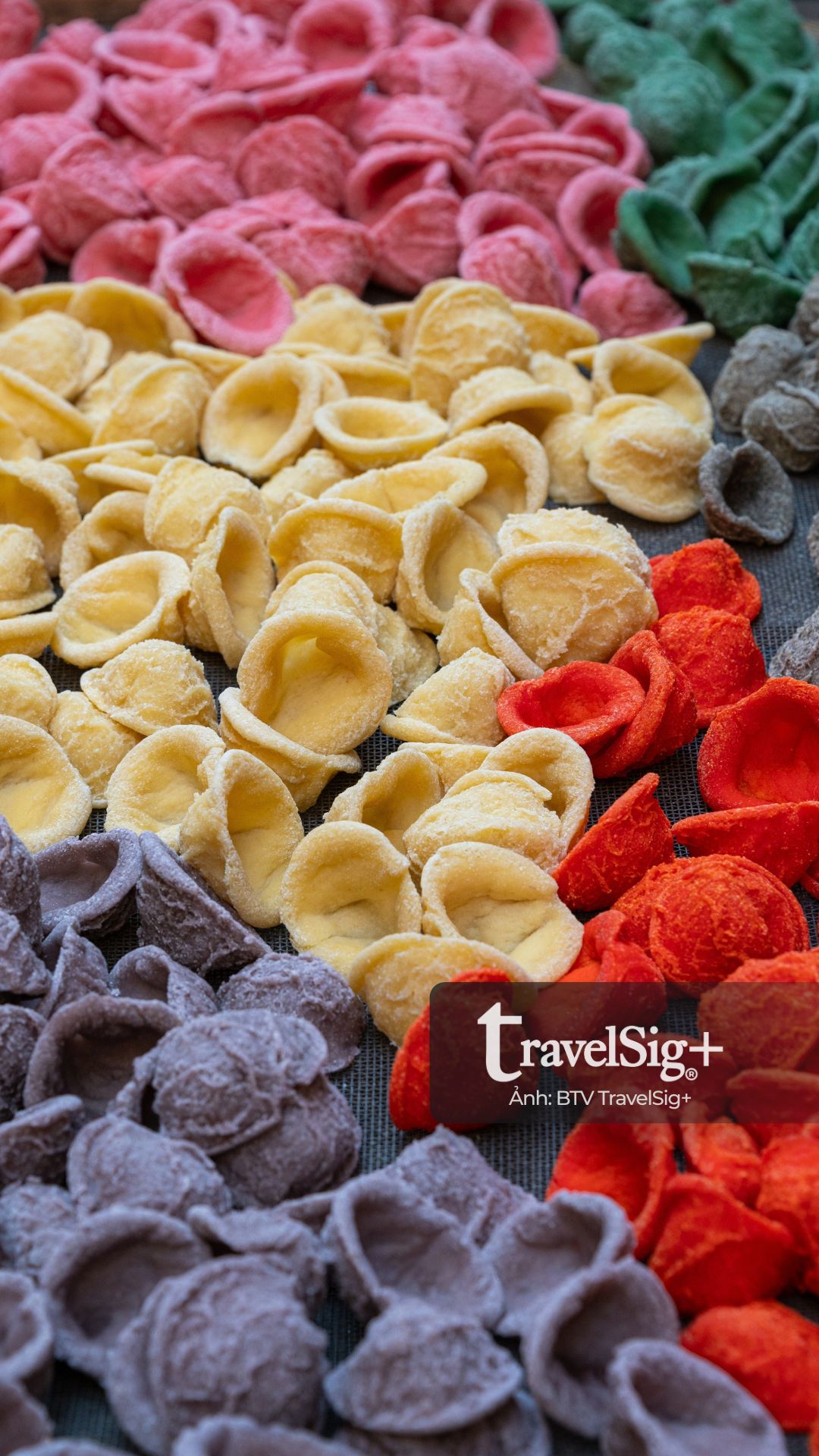 Những người phụ nữ làm pasta Orecchiette ở Bari - Di sản sống của miền Nam nước Ý