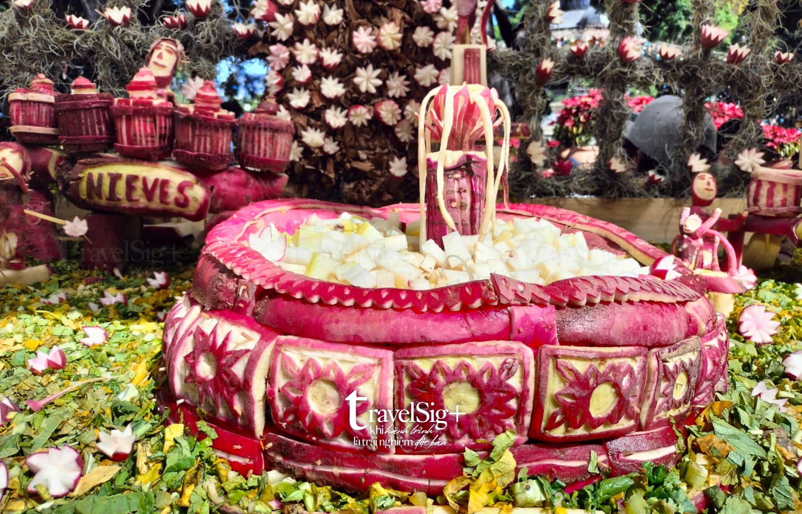 Noche de Rábanos, lễ hội Đêm Củ Cải độc đáo tại Oaxaca, Mexico